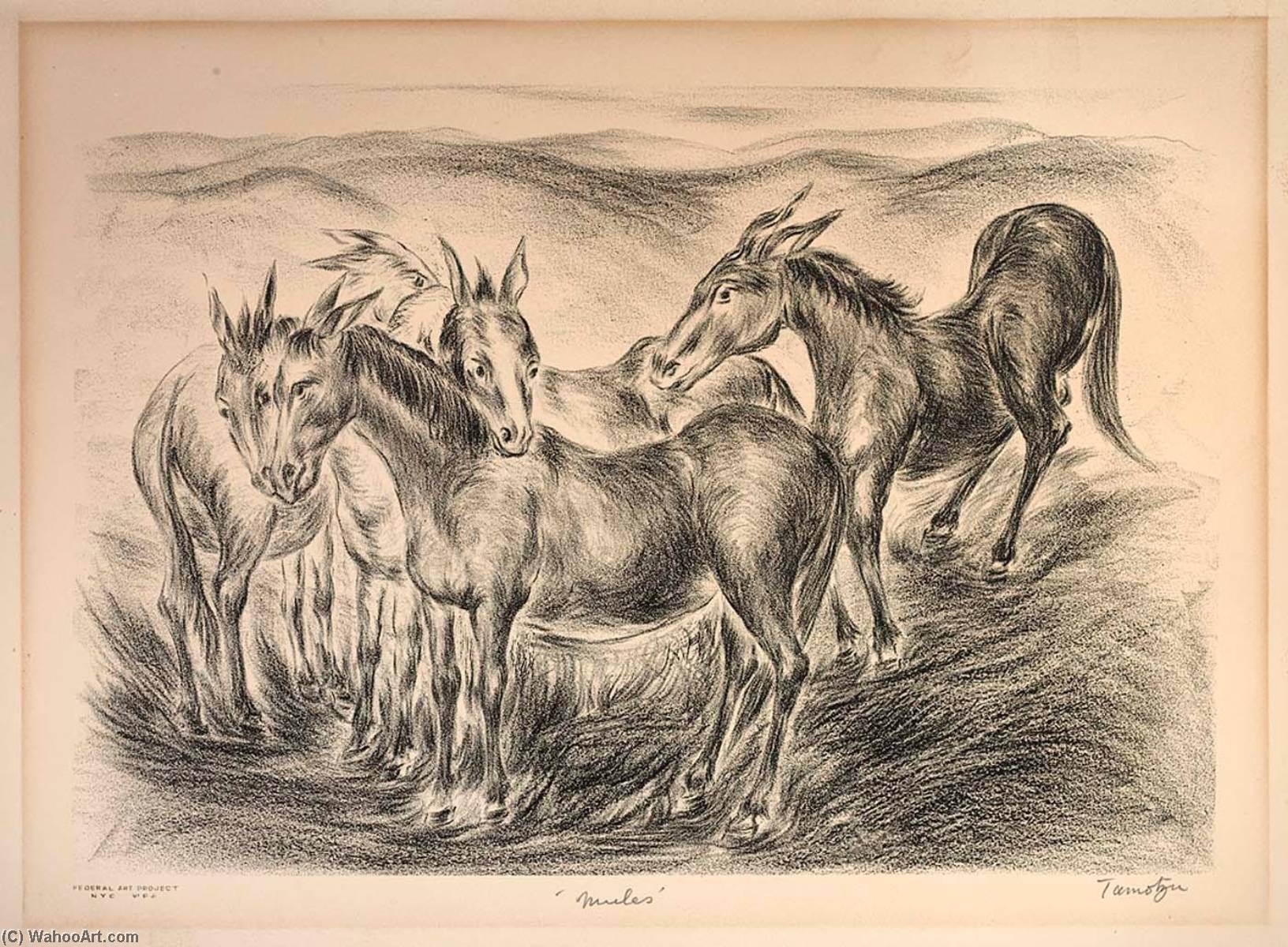 Mules — Chuzo Tamotzu