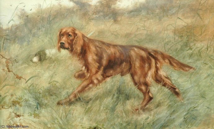 An Irish Setter — Johannes Frederik Hulk