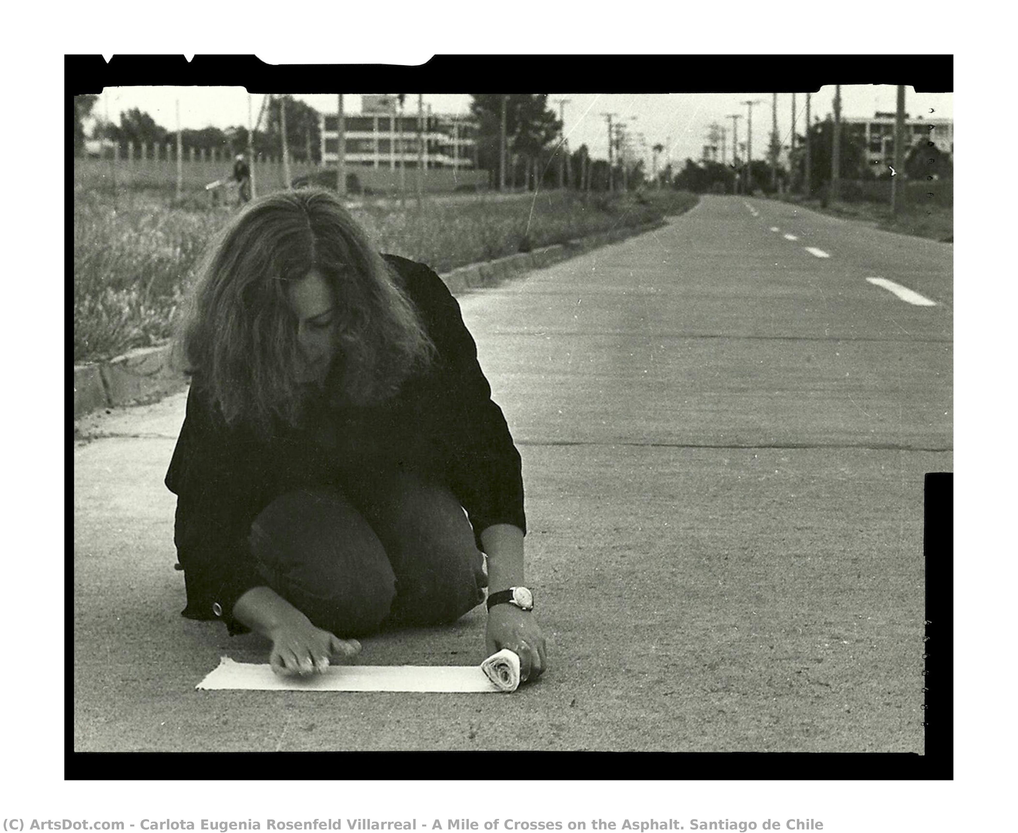 A Mile Of Crosses On The Asphalt. Santiago De Chile — Carlota Eugenia Rosenfeld Villarreal