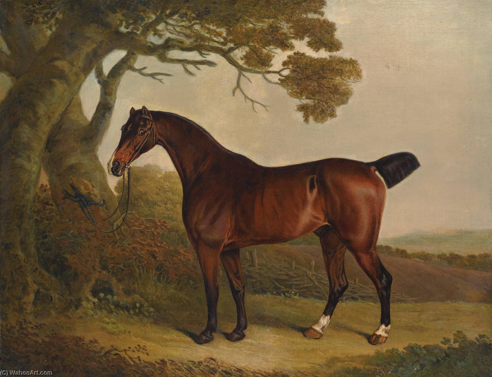 A Bay Horse Tethered To A Tree In A Landscape — Thomas Weaver