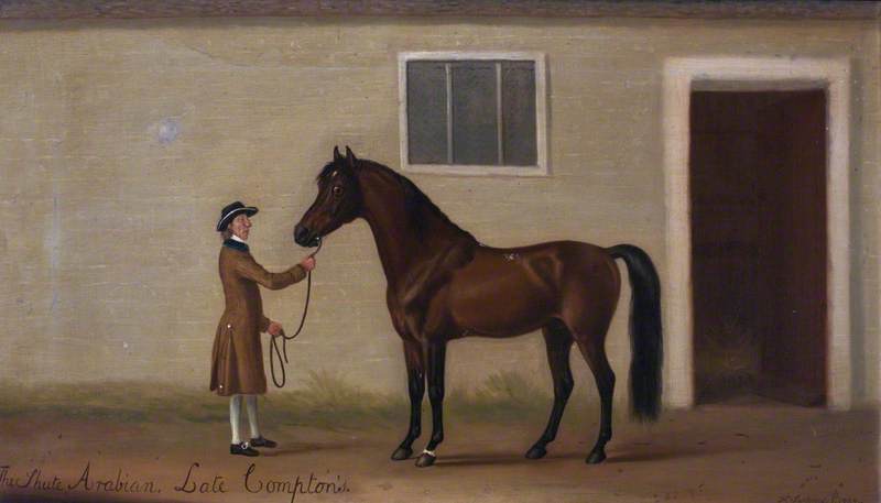 The Shute Arabian — Francis Sartorius Ii (john Francis Sartorius)