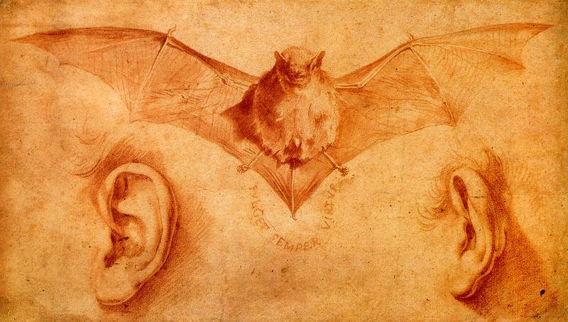 Study Of Bats And Ears — Хосе Де Рибера