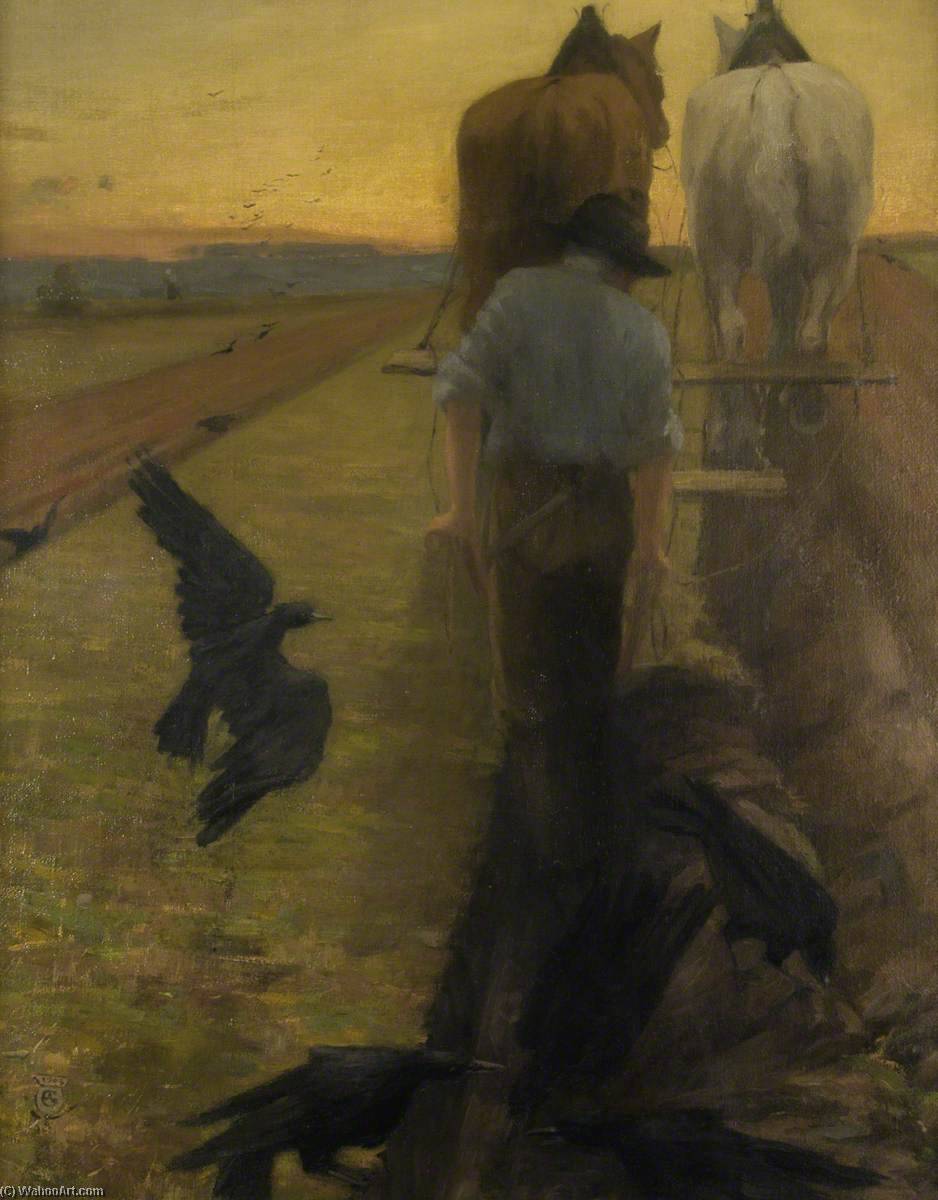Ploughman And Crows — Alec Grieve