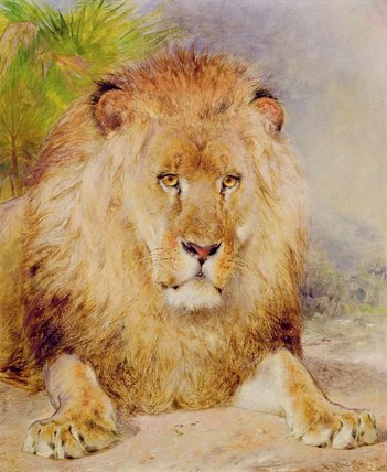 Lion — William Huggins