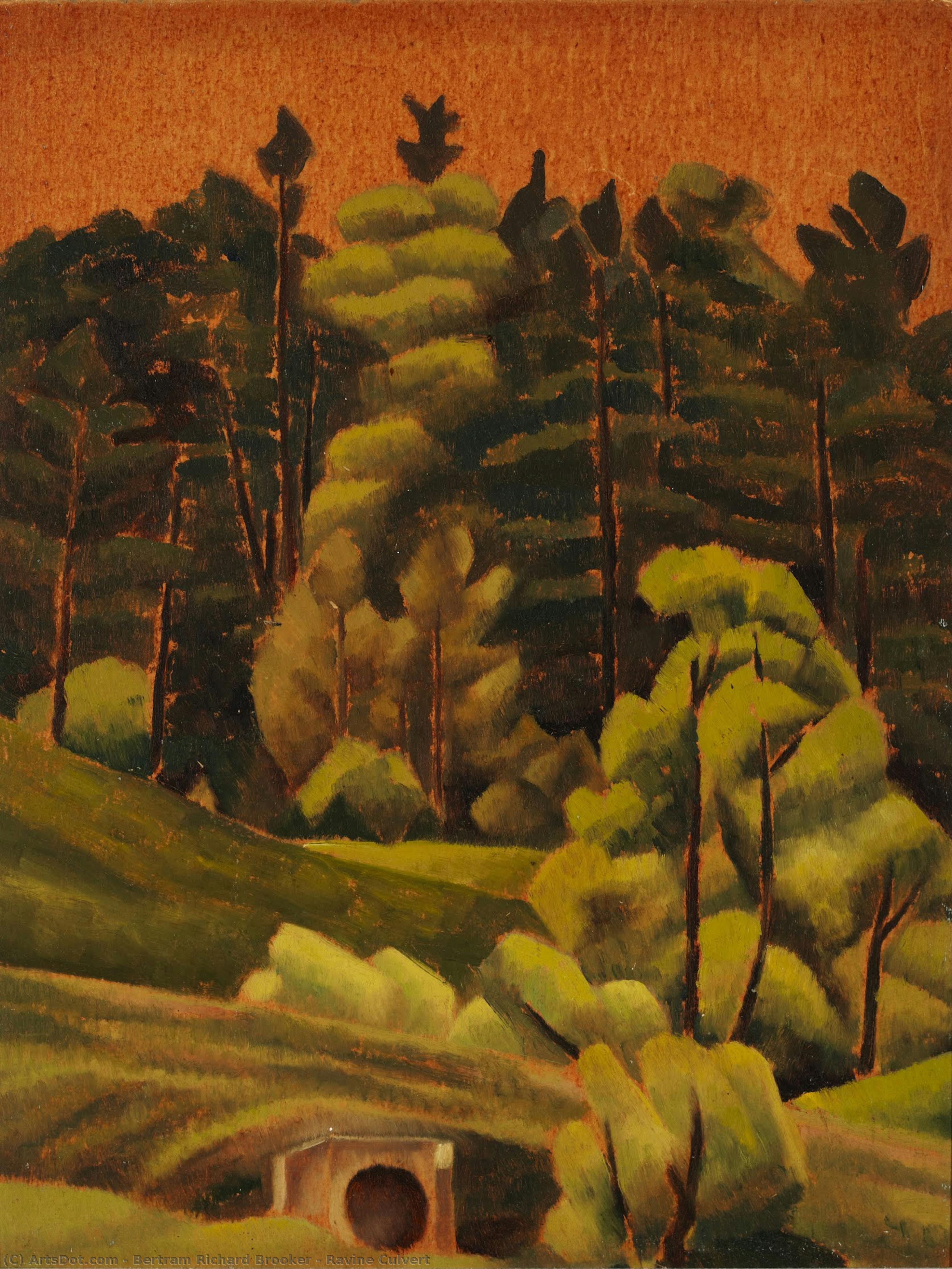 Ravine Culvert — Bertram Richard Brooker