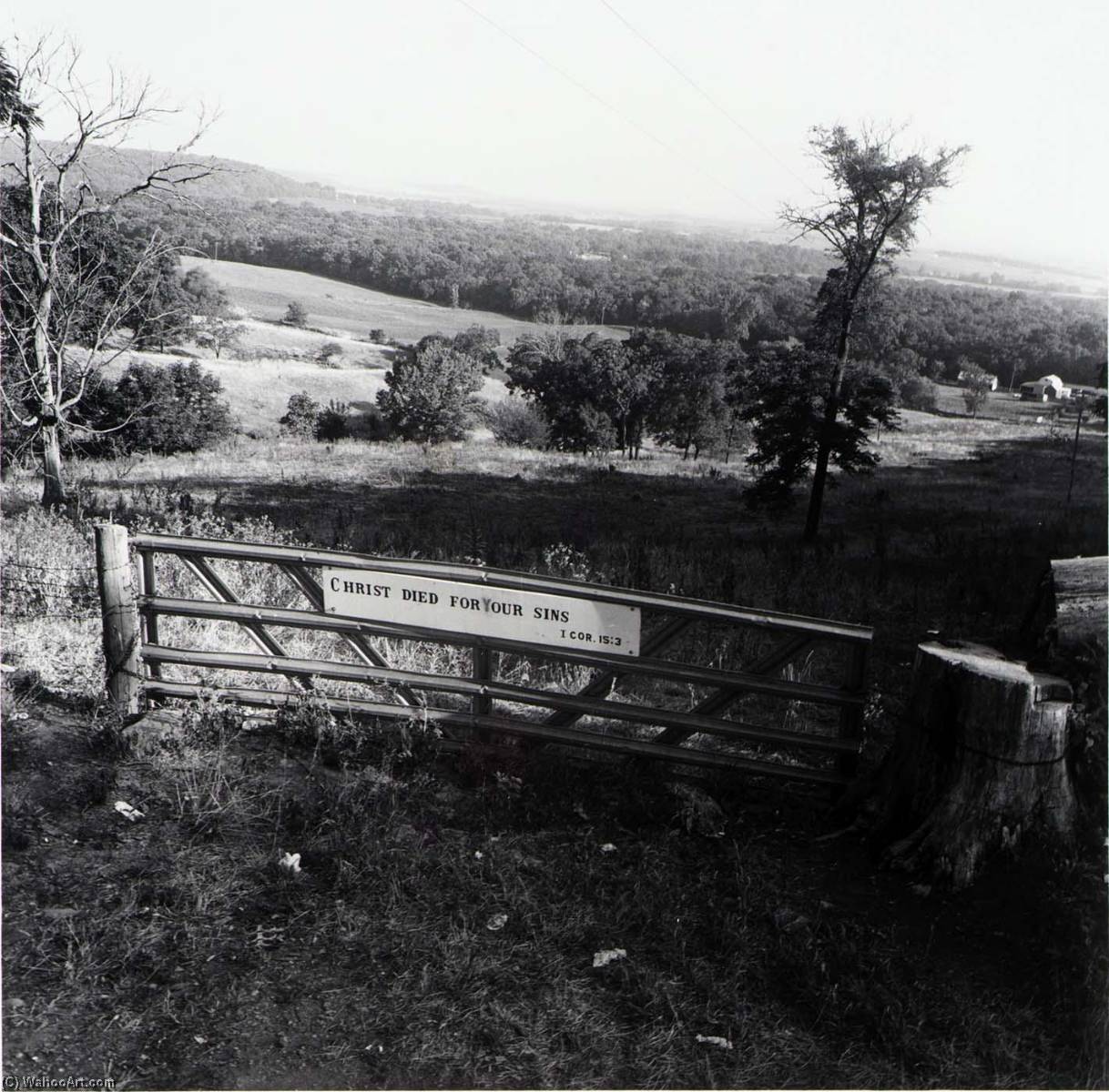 Douglas County, From The Kansas Documentary Survey Project — Larry W Schwarm