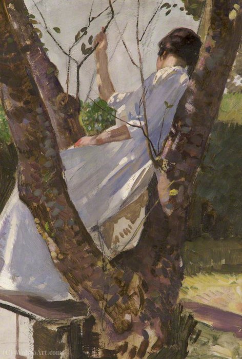 Girl In A Tree — Harry Watson