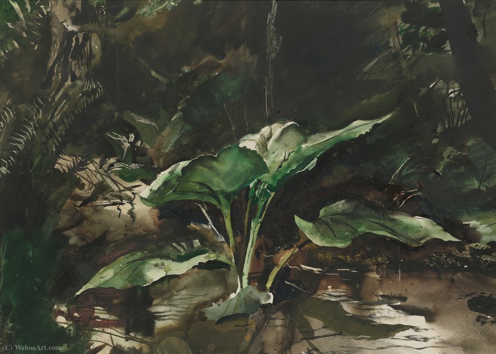 Skunk Cabbage — Эндрю Ньюэлл Уайет
