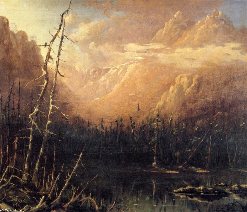 Tuckerman's Ravine — Џон Хенри Твактман