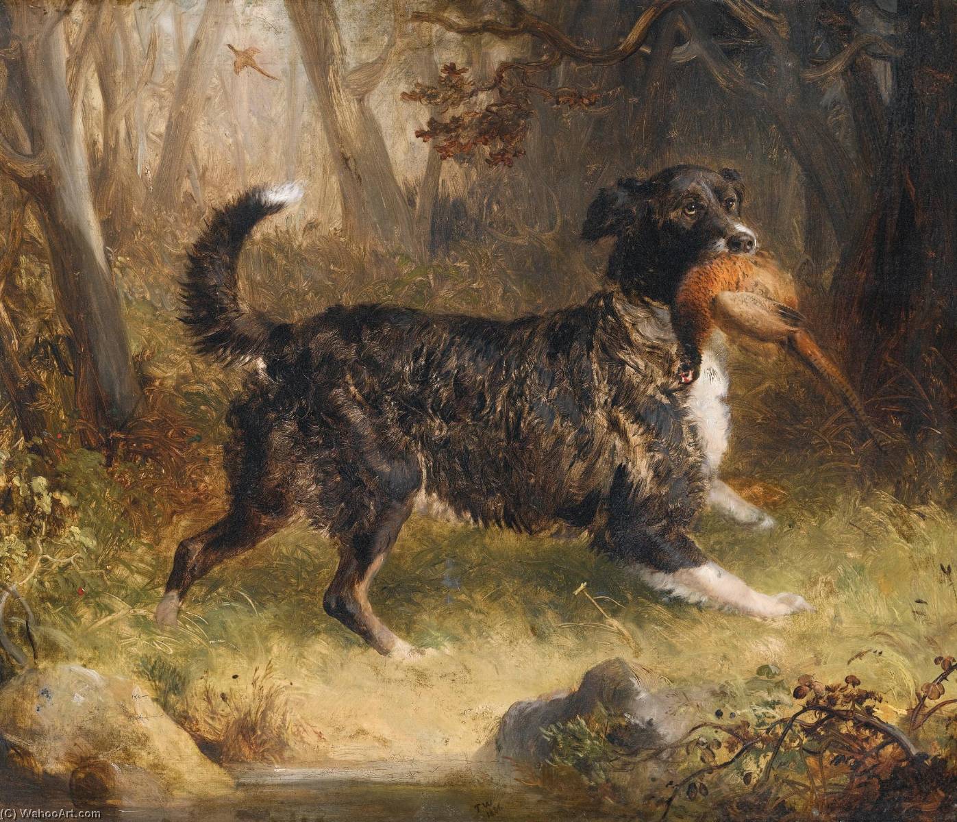 A Setter Retrieving A Cock Pheasant — Thomas Woodward