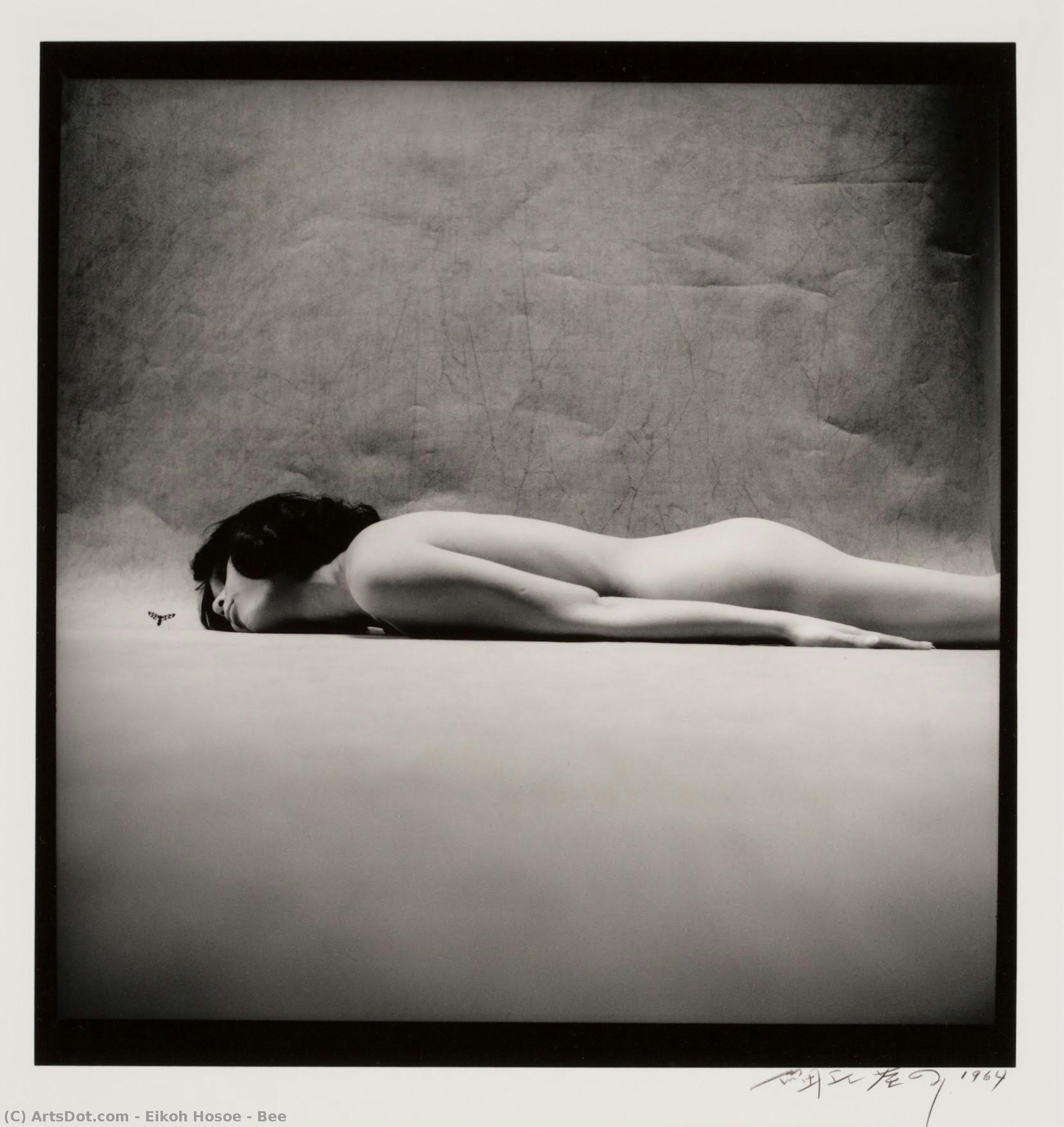 Bee — Eikoh Hosoe