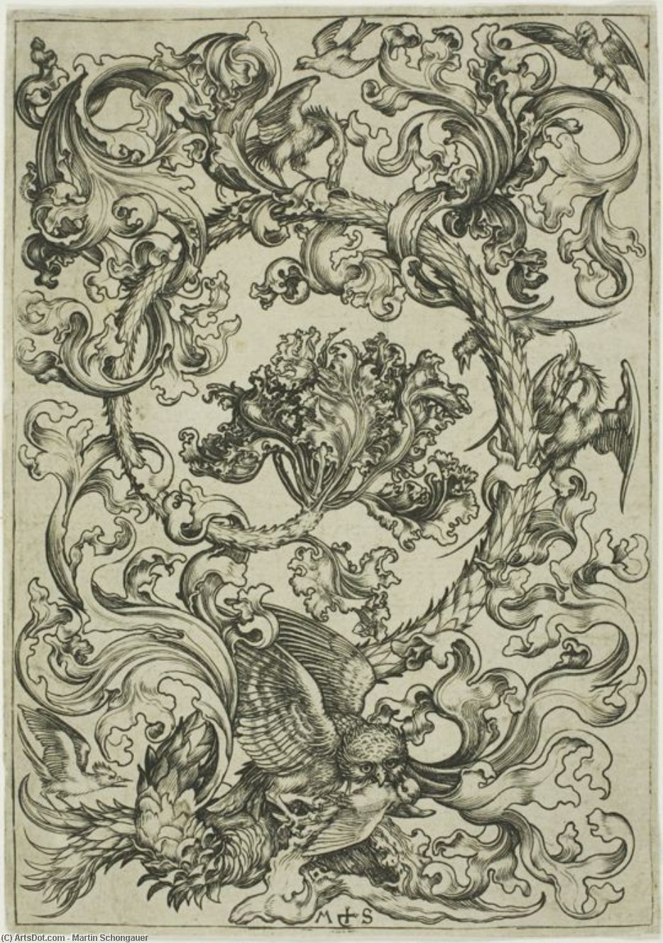 Ornament With Owi Mocked By Day Birds — Martin Schongauer
