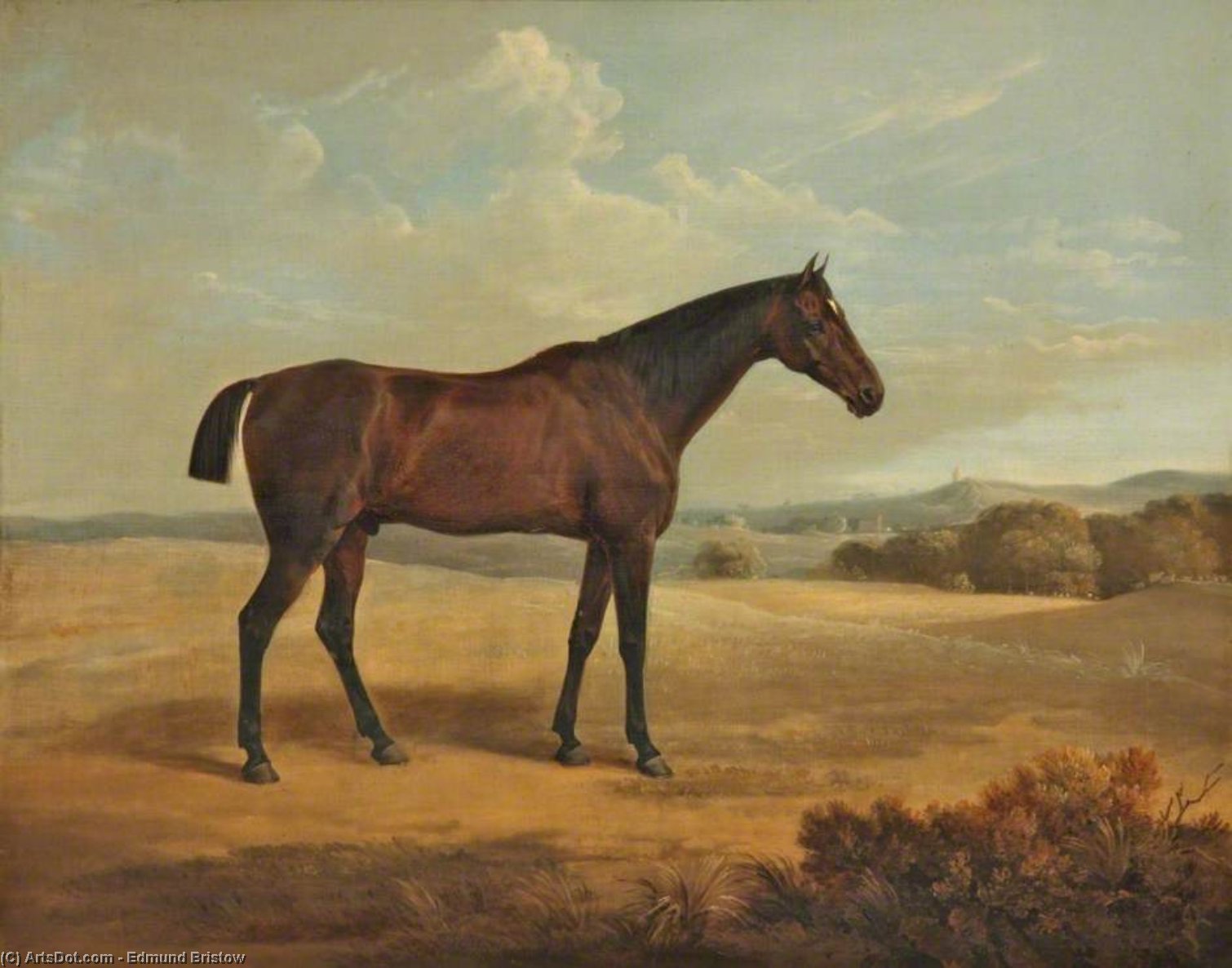 Bay Horse In A Landscape — Edmund Bristow