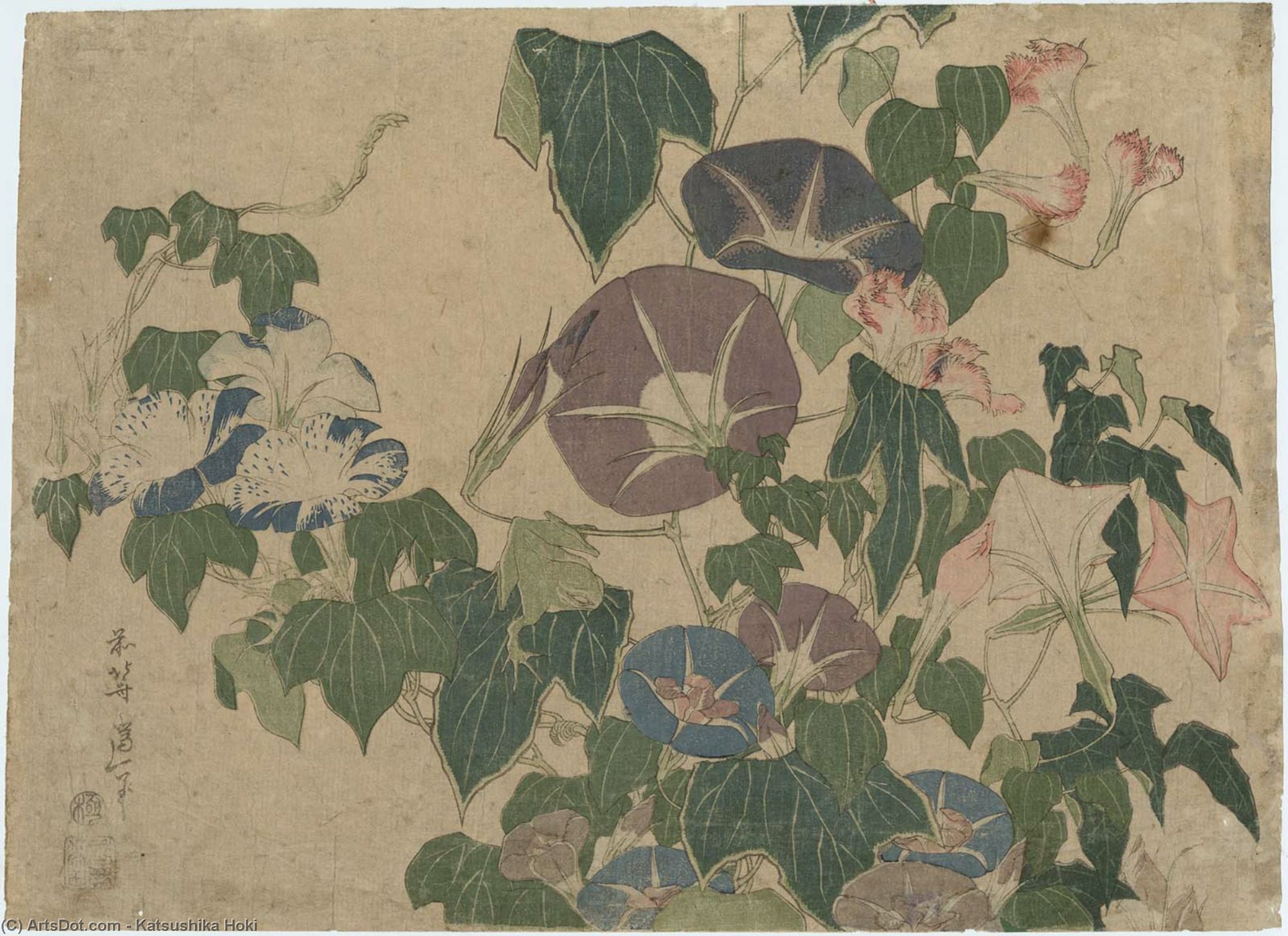 Morning Glories And Tree Frog — Katsushika Hokusai