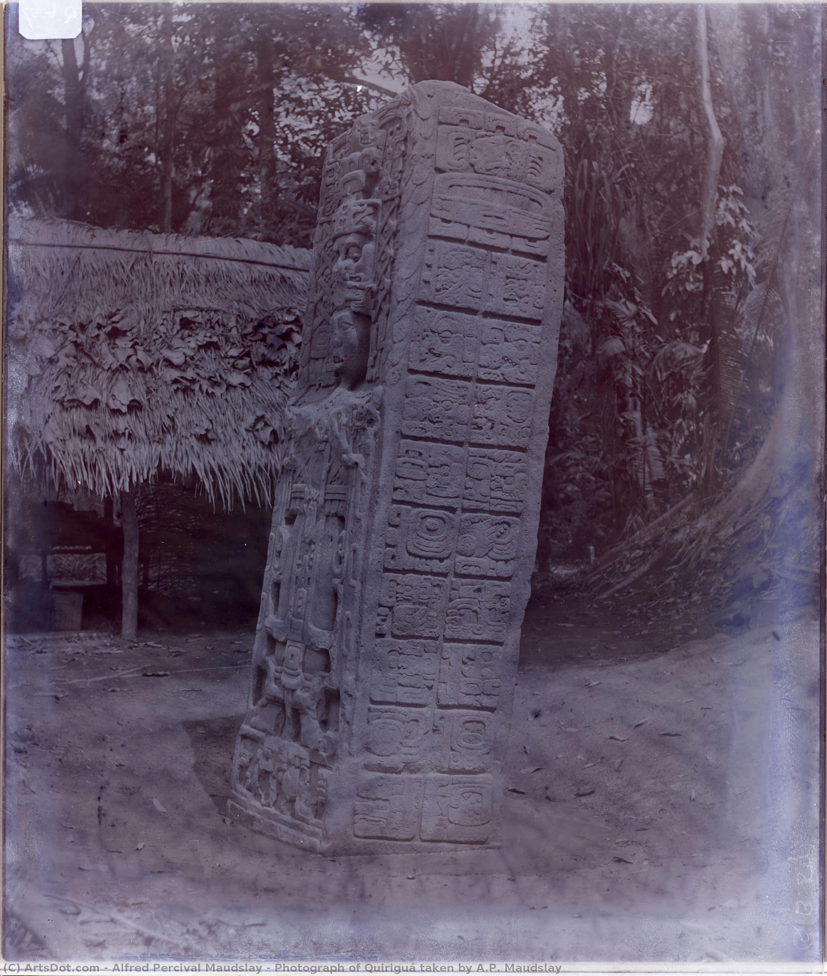 Photograph Of Quiriguá Taken By A.p. Maudslay — Alfred Percival Maudslay