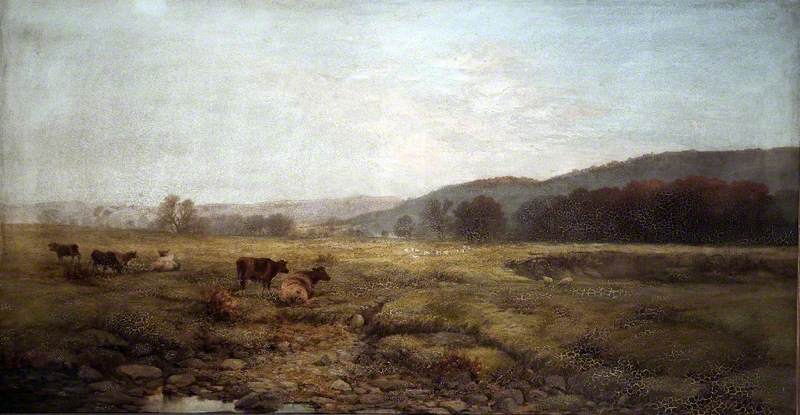 Cox's Meadow, Betws Y Coed — Fred Tom Sibley