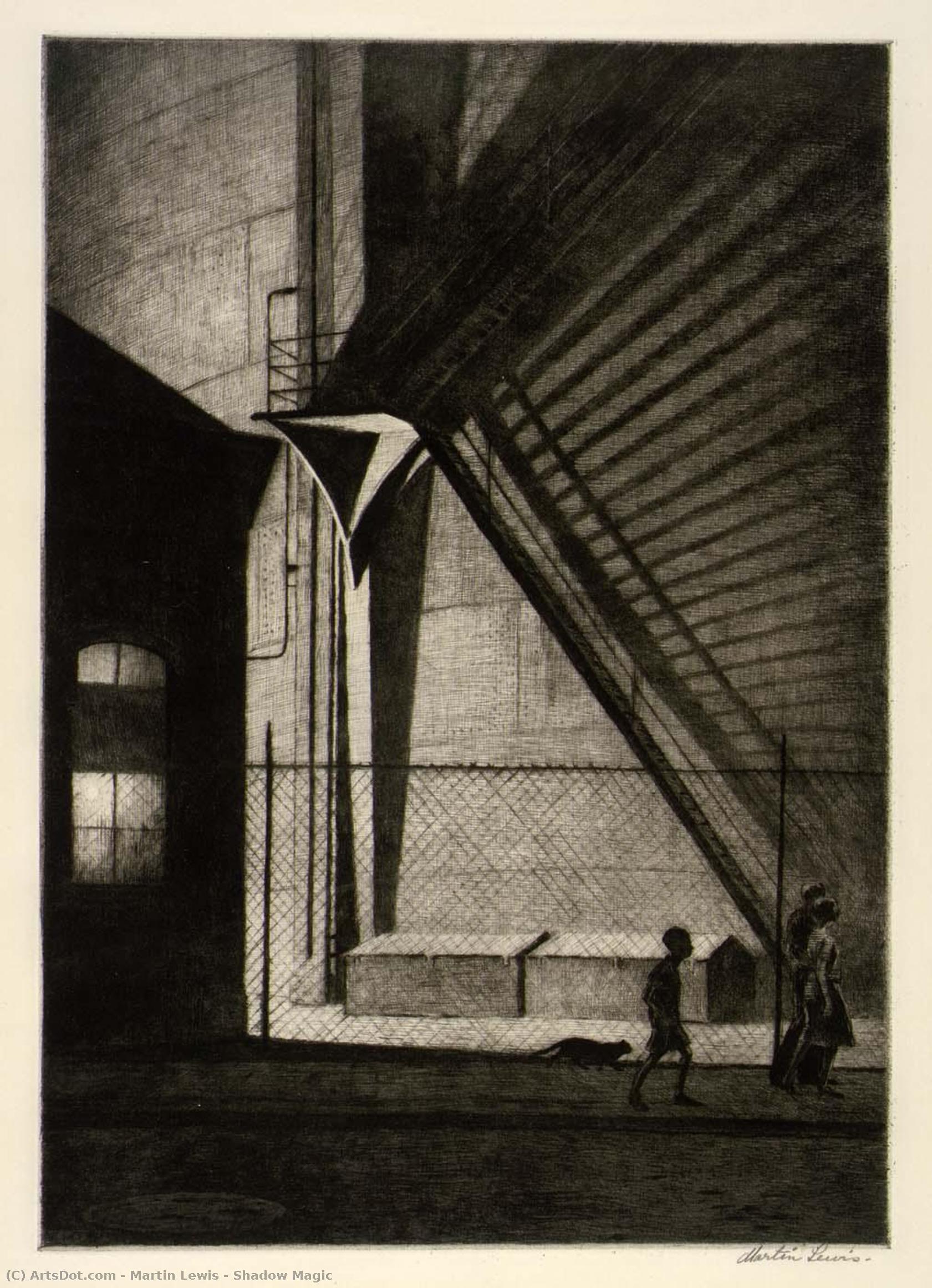 Shadow Magic — Martin Lewis