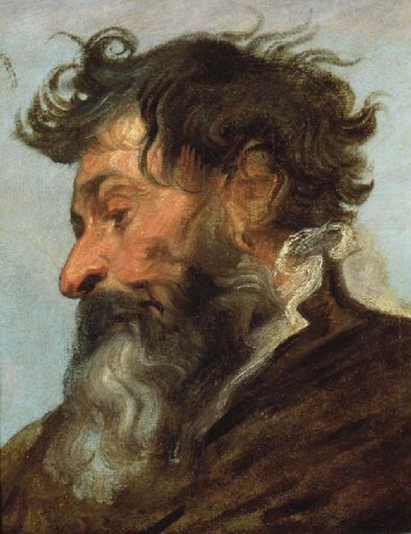 Tête D'homme De Profil, Tourné Vers La Gauche — Sir Anthony Van Dyck