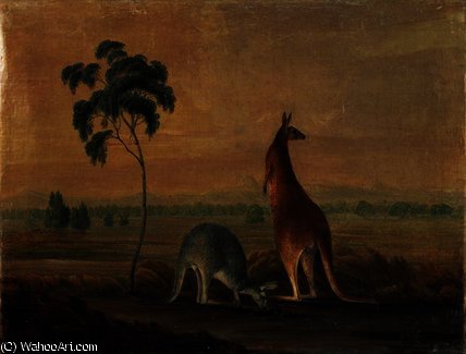 Kangaroos In A Landscape, C.1819 — John William Lewin