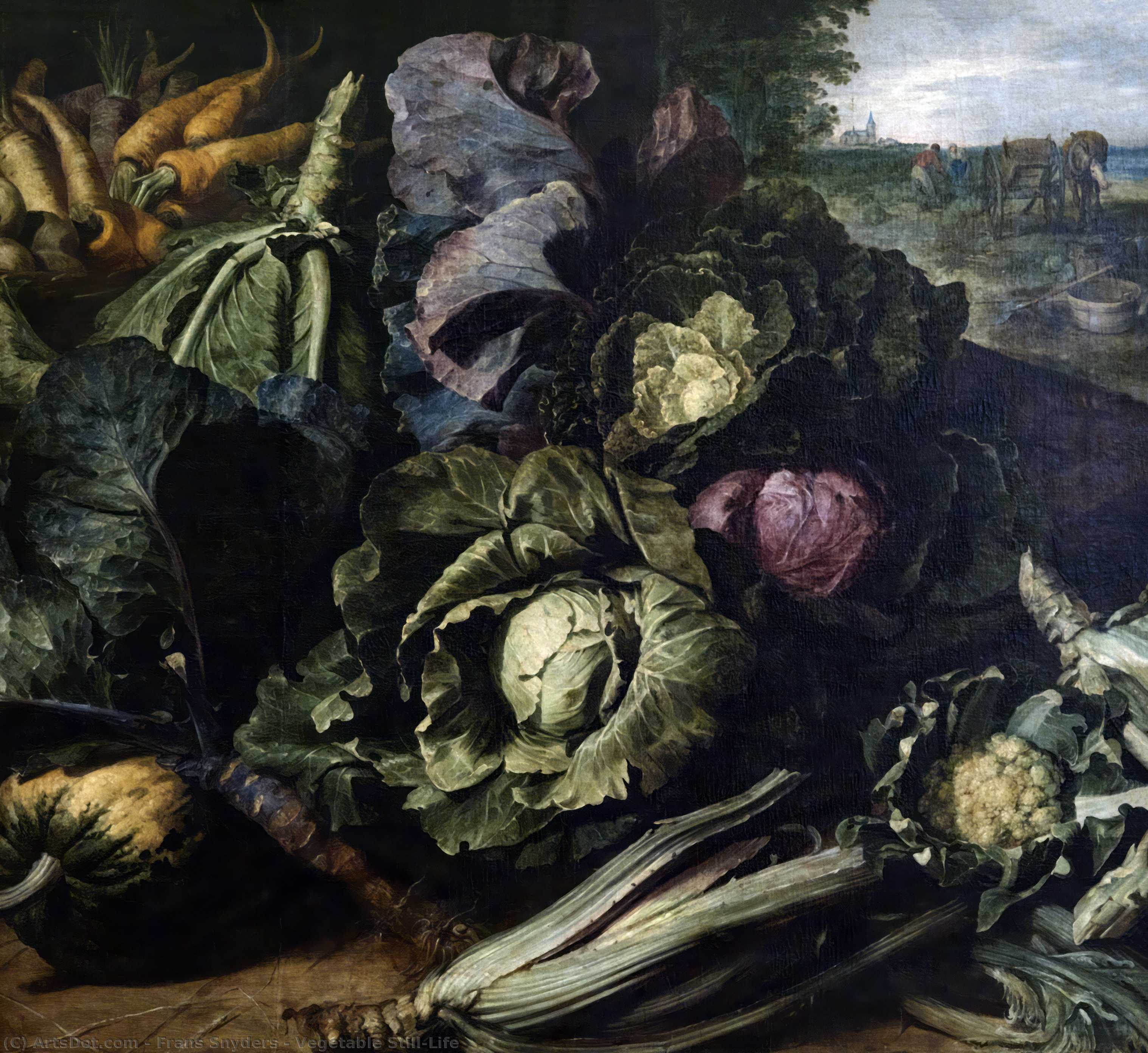 Vegetable Still-life — Frans Snyders