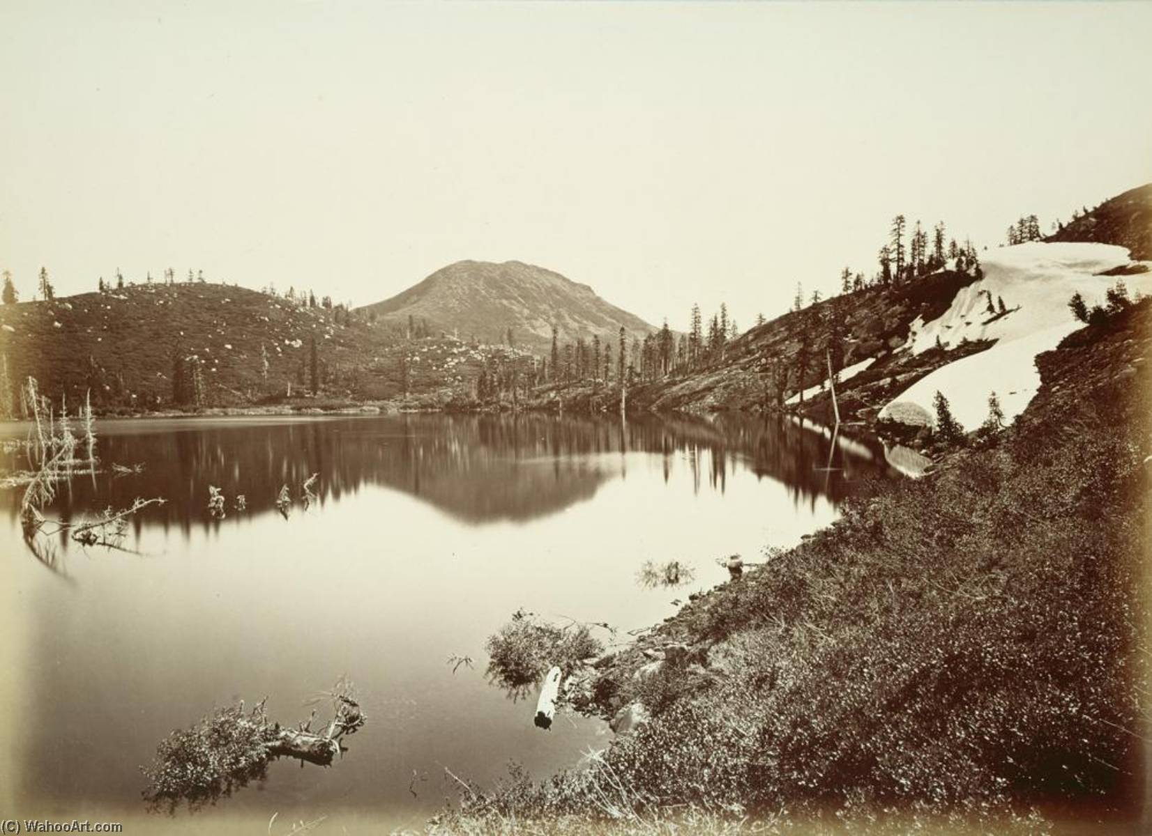 Untitled (aqtdjm) — Carleton Watkins