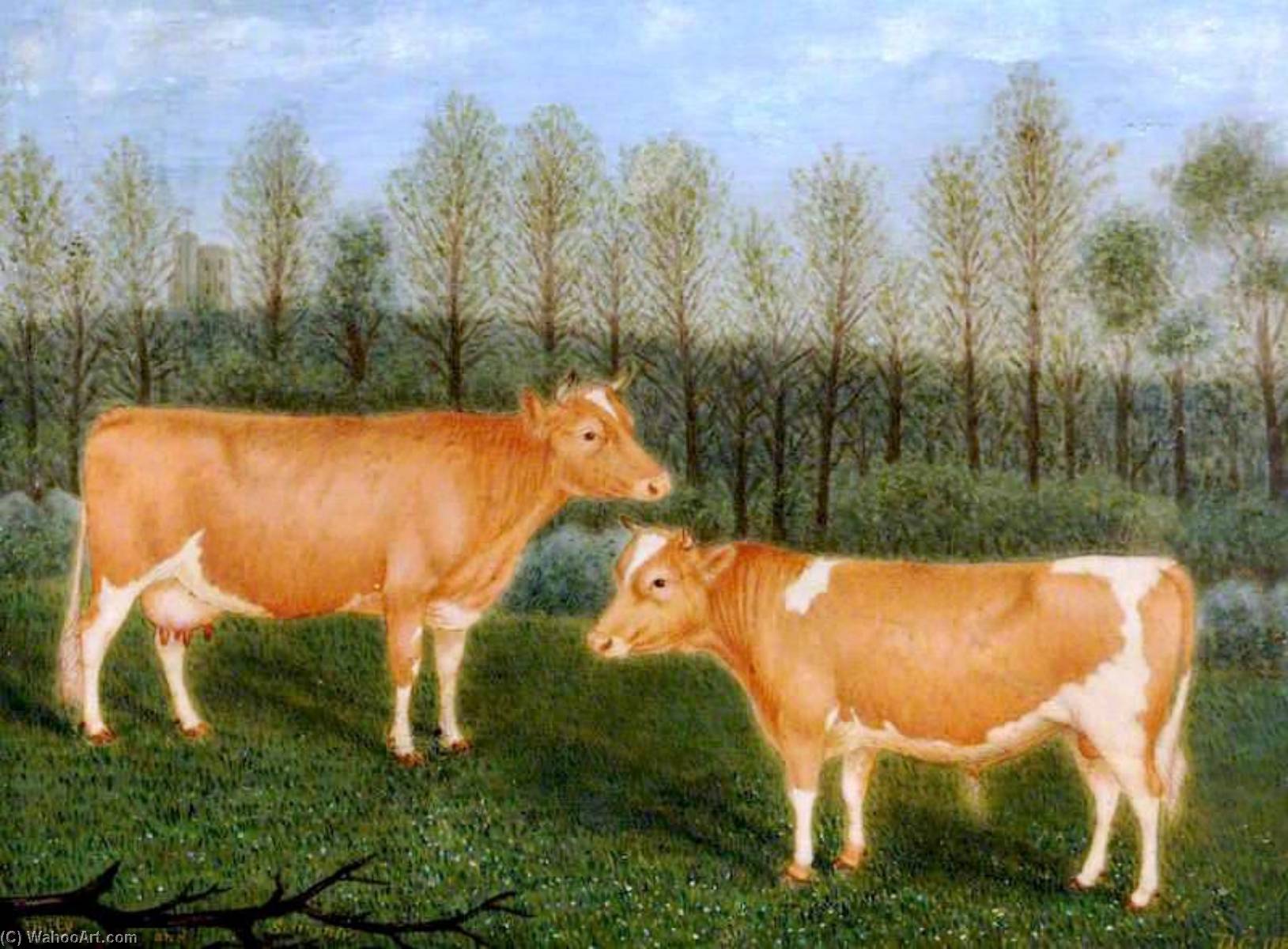Guernsey Cattle, 'unity' And 'souvenir' — Denys Corbet