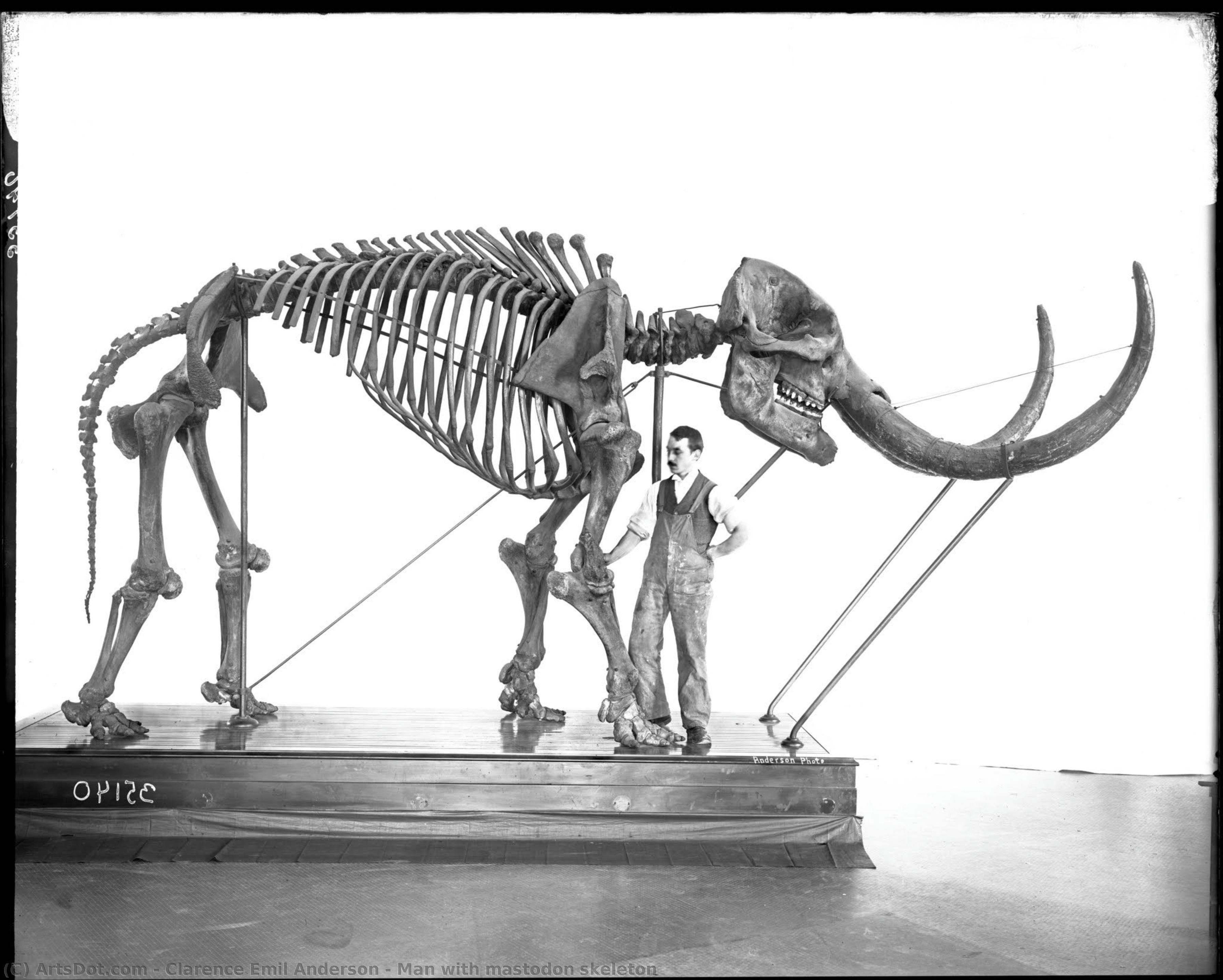 Man With Mastodon Skeleton — Clarence Emil Anderson