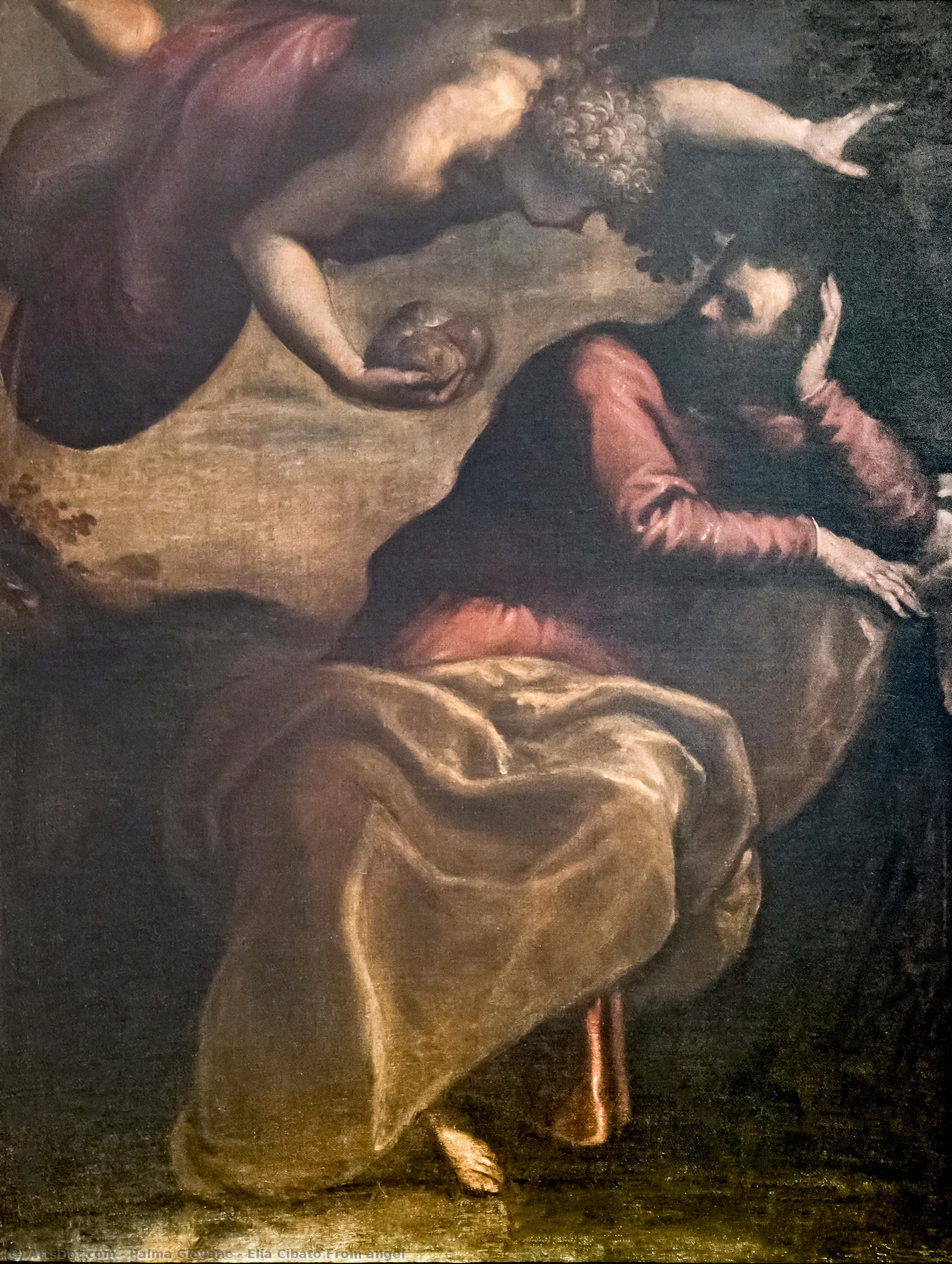 Elia Cibato From Angel — Jacopo Palma Il Giovane