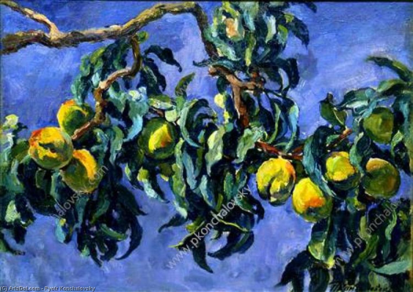 Peaches On The Branches — Pyotr Konchalovsky