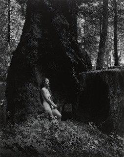 Dorothy — Wynn Bullock