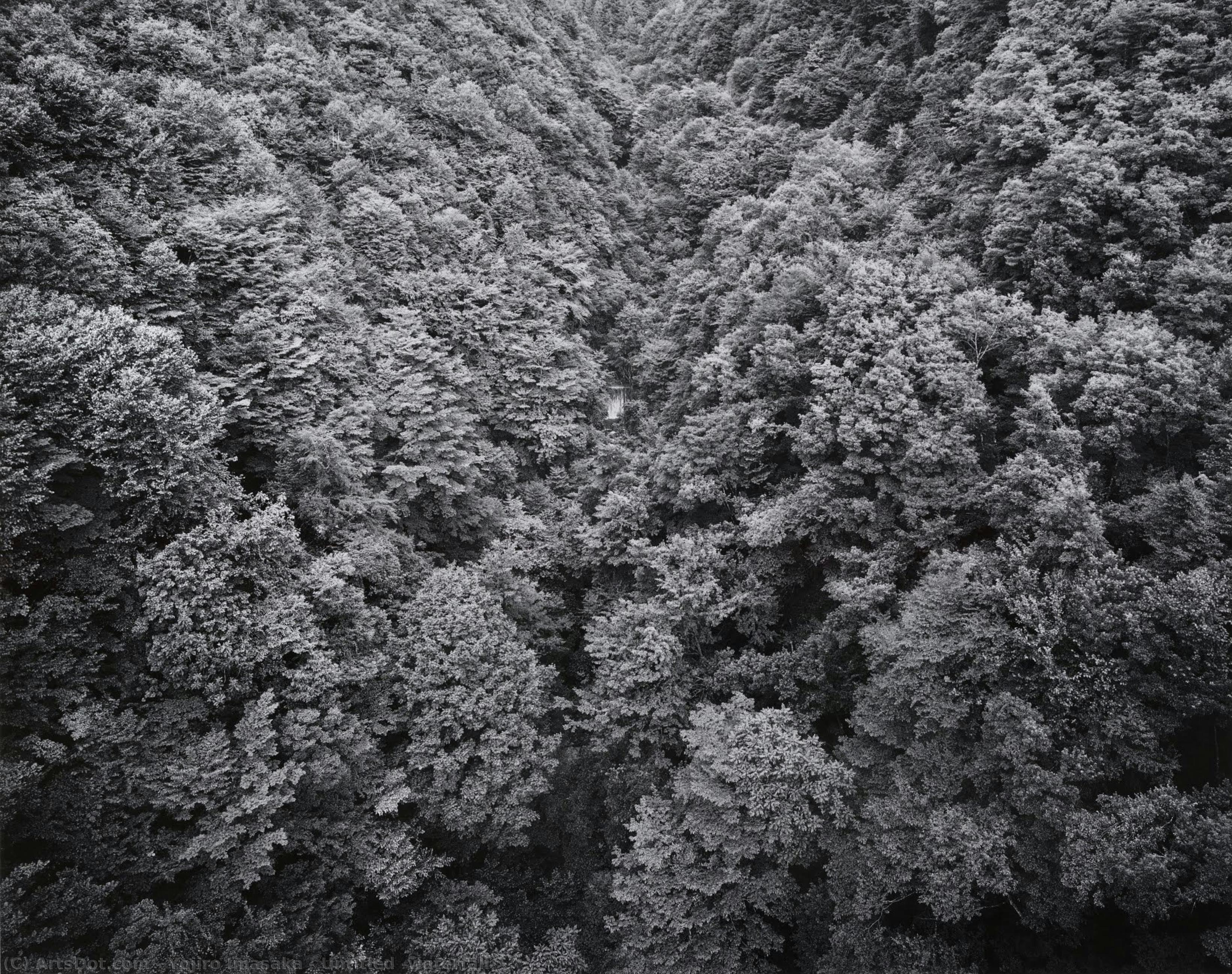 Untitled (waterfall) — Yojiro Imasaka