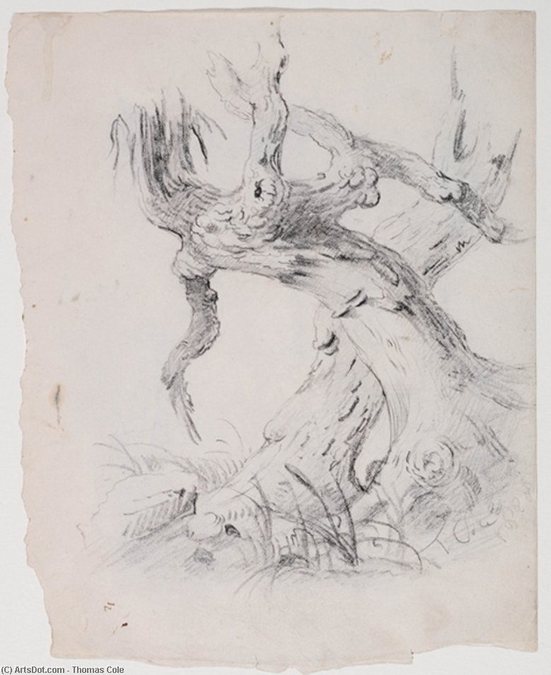 Gnarled Trunk Of A Tree 2 — Thomas Cole