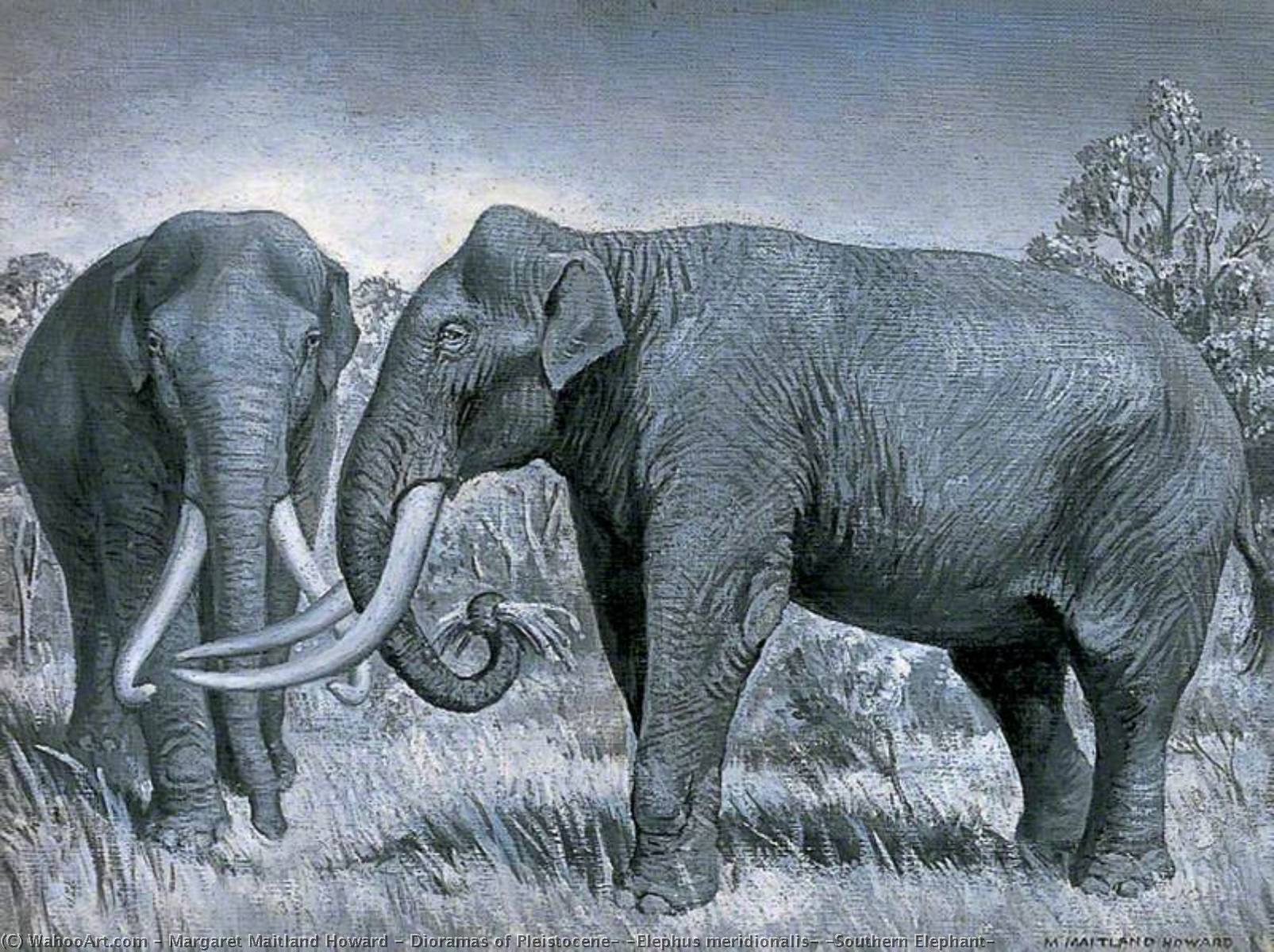 Dioramas Of Pleistocene, 'elephus Meridionalis' (southern Elephant) — Margaret Maitland Howard