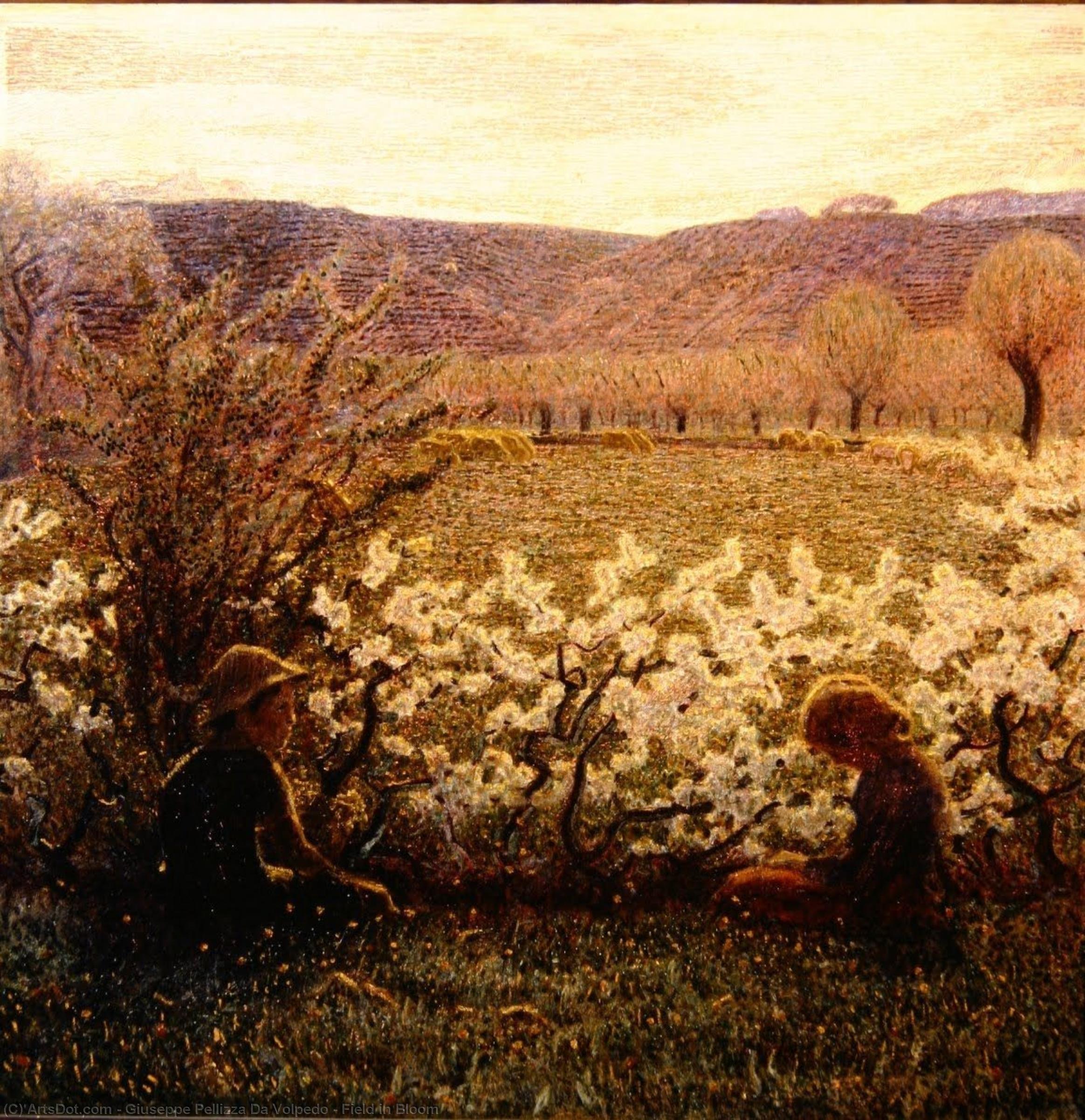Field In Bloom — Giuseppe Pellizza Da Volpedo