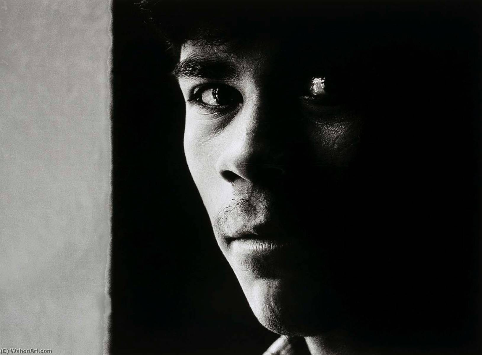 Alberto (south Bronx, New York) — Frank Espada