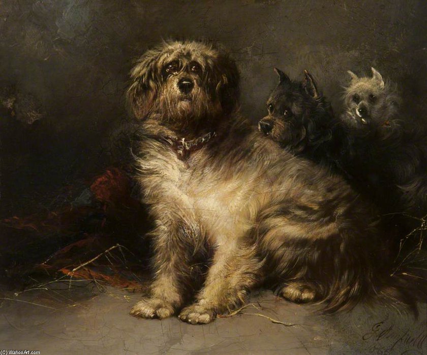 Study Of Dogs — George Armfield (smith)