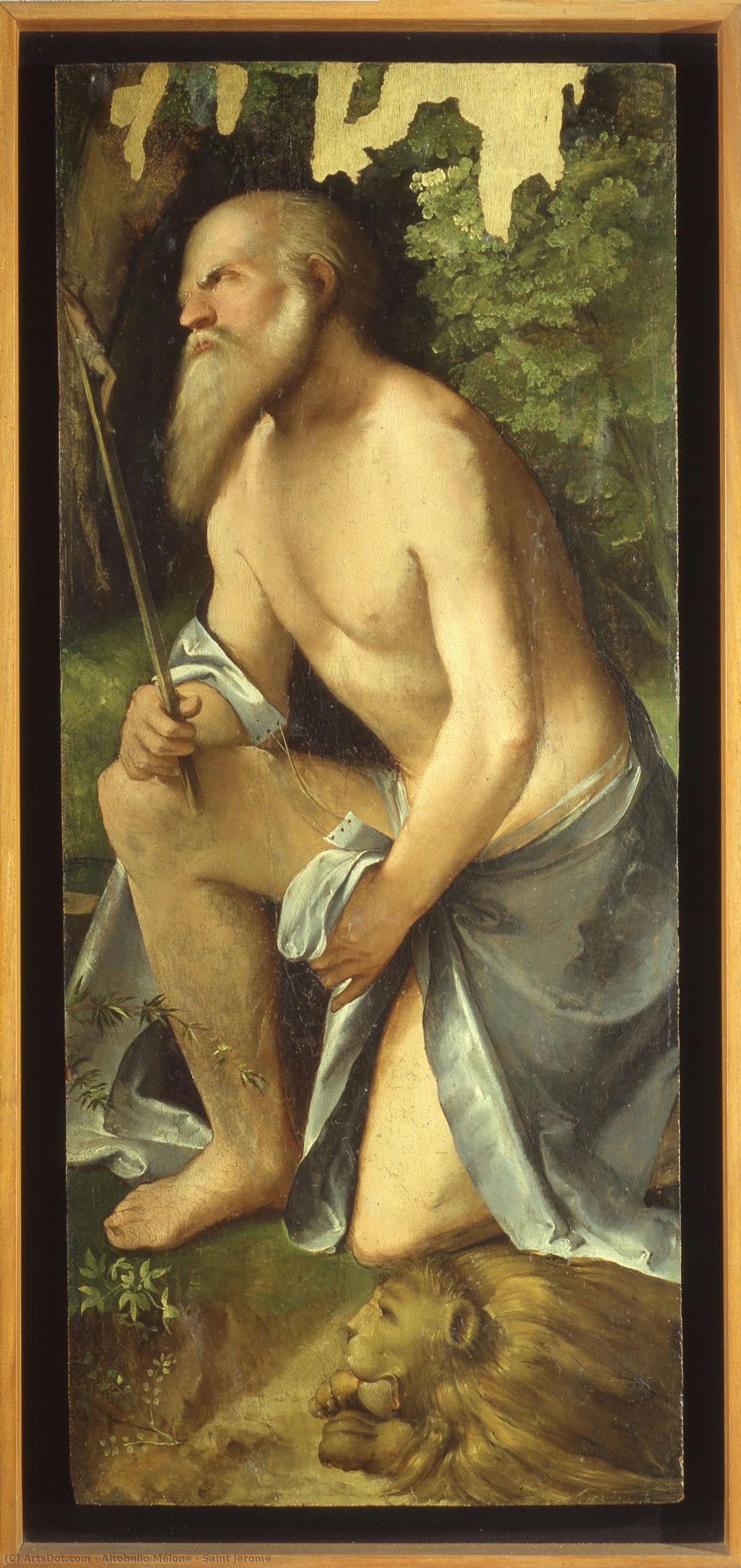 Saint Jerome — Altobello Melone