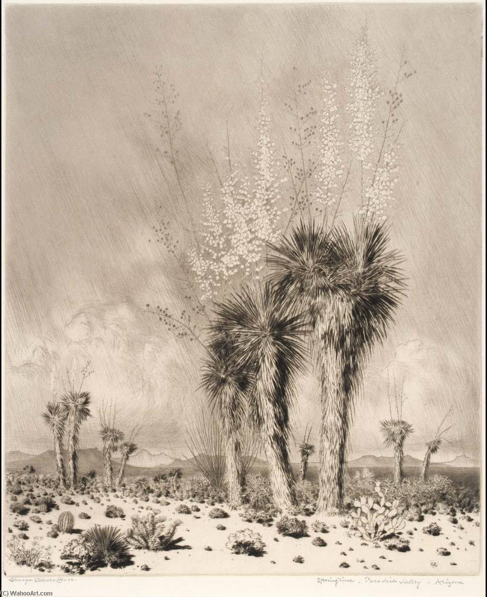Springtime, Paradise Valley, Arizona — George Elbert Burr