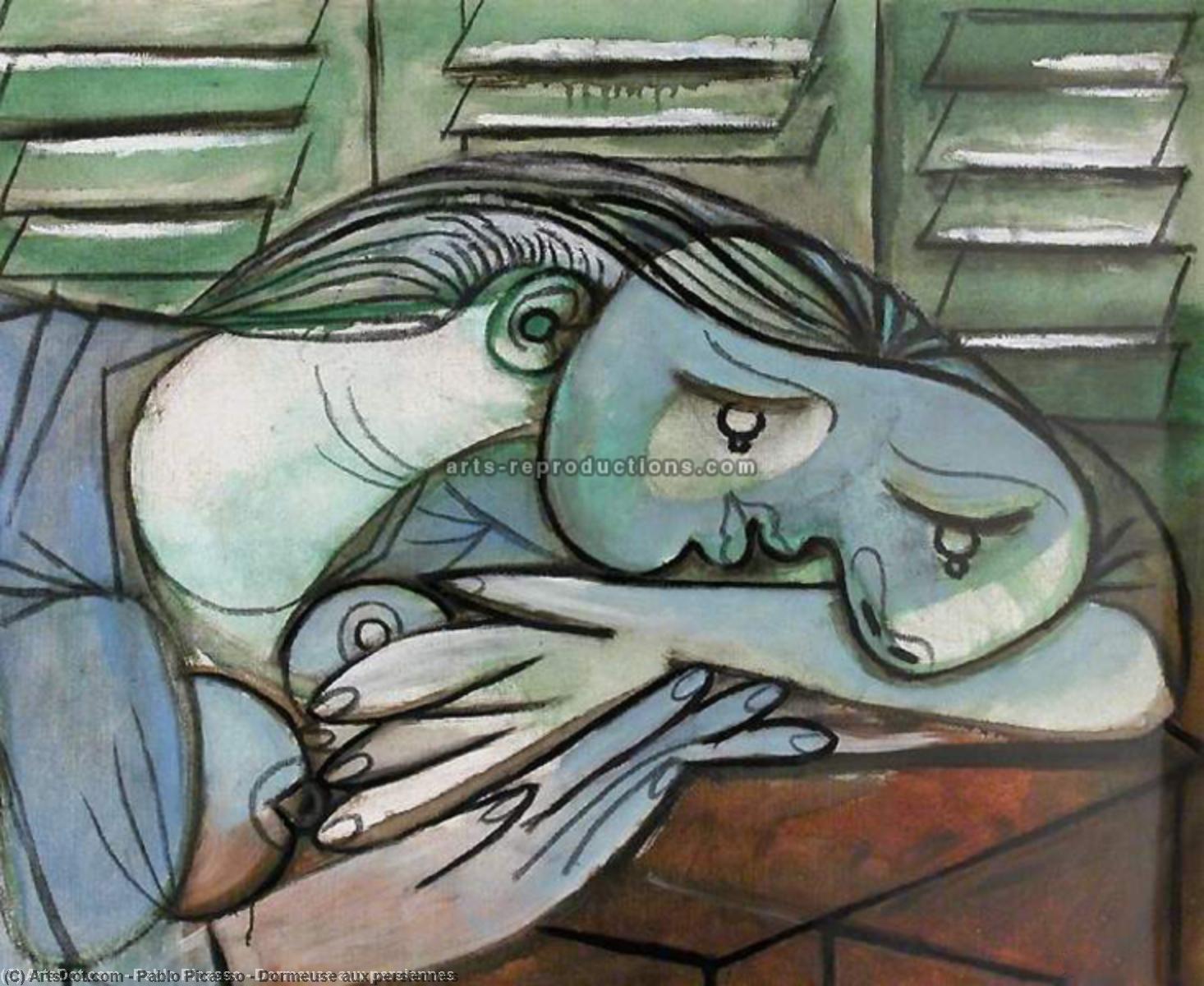 Schlafende Frau Mit Fensterläden — Pablo Picasso