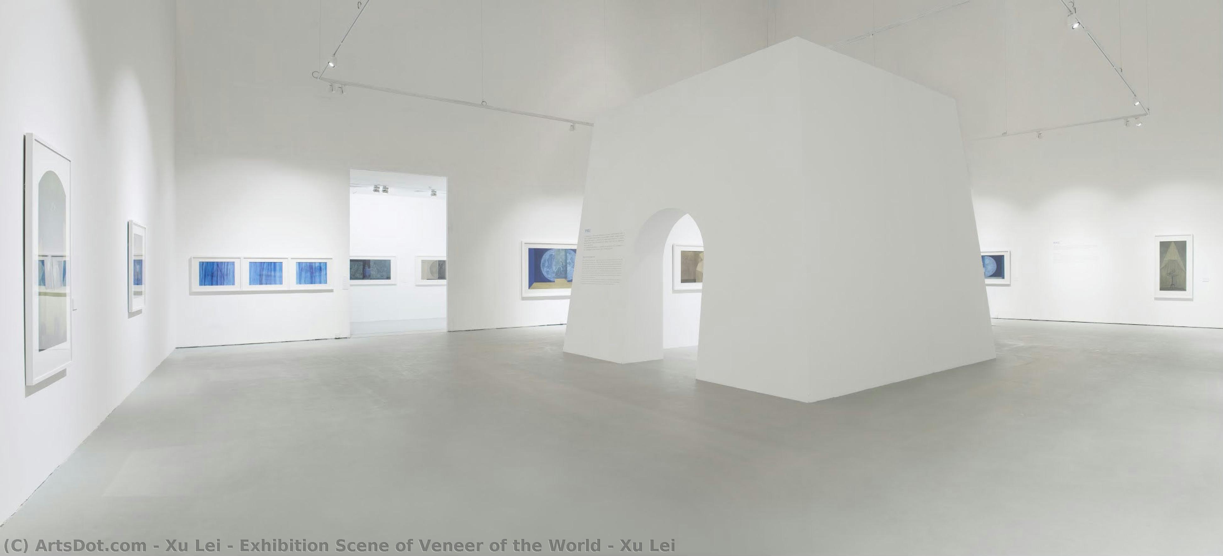 Exhibition Scene Of Veneer Of The World - Xu Lei — Xu Lei
