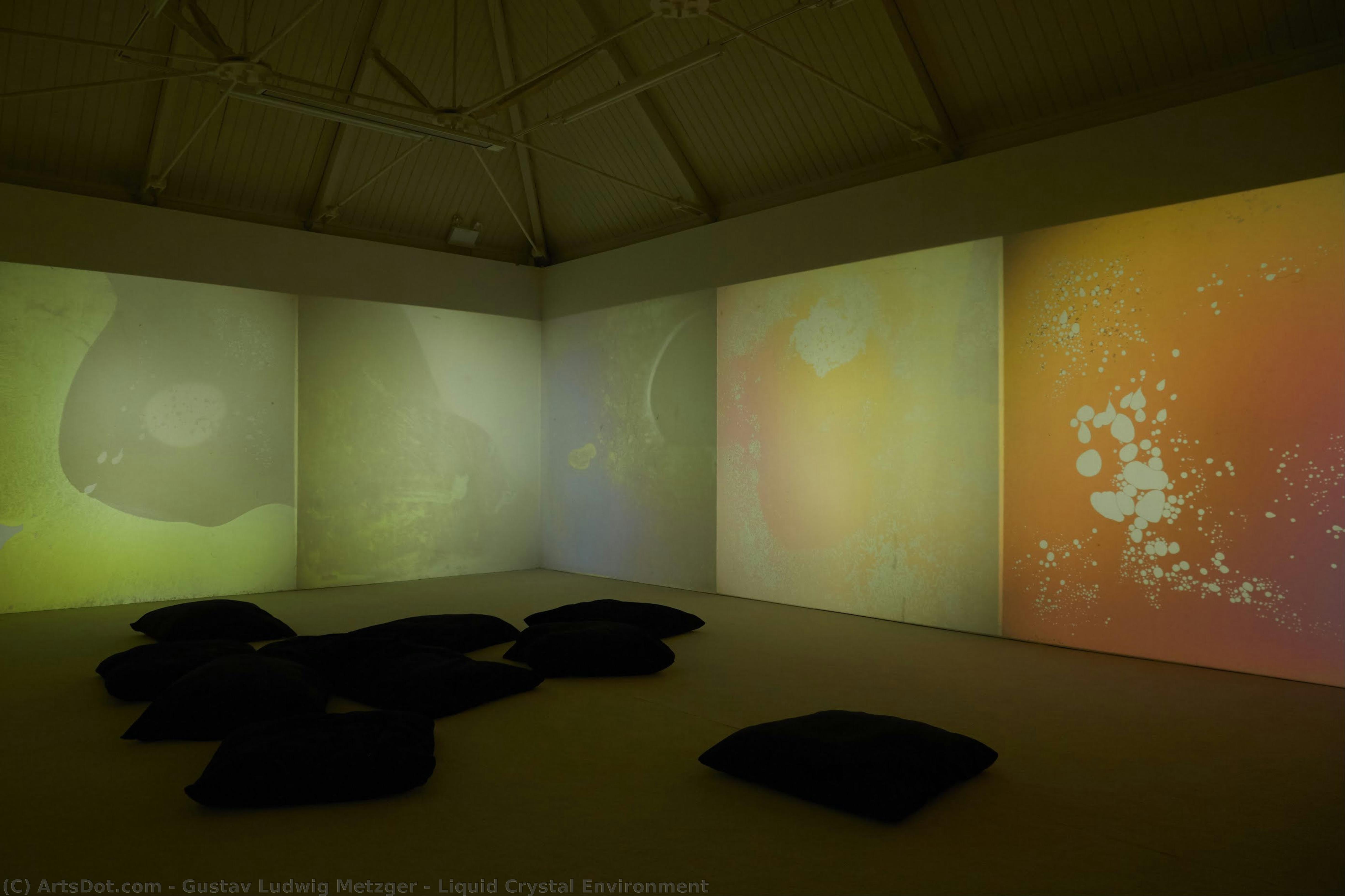 Liquid Crystal Environment — Gustav Ludwig Metzger