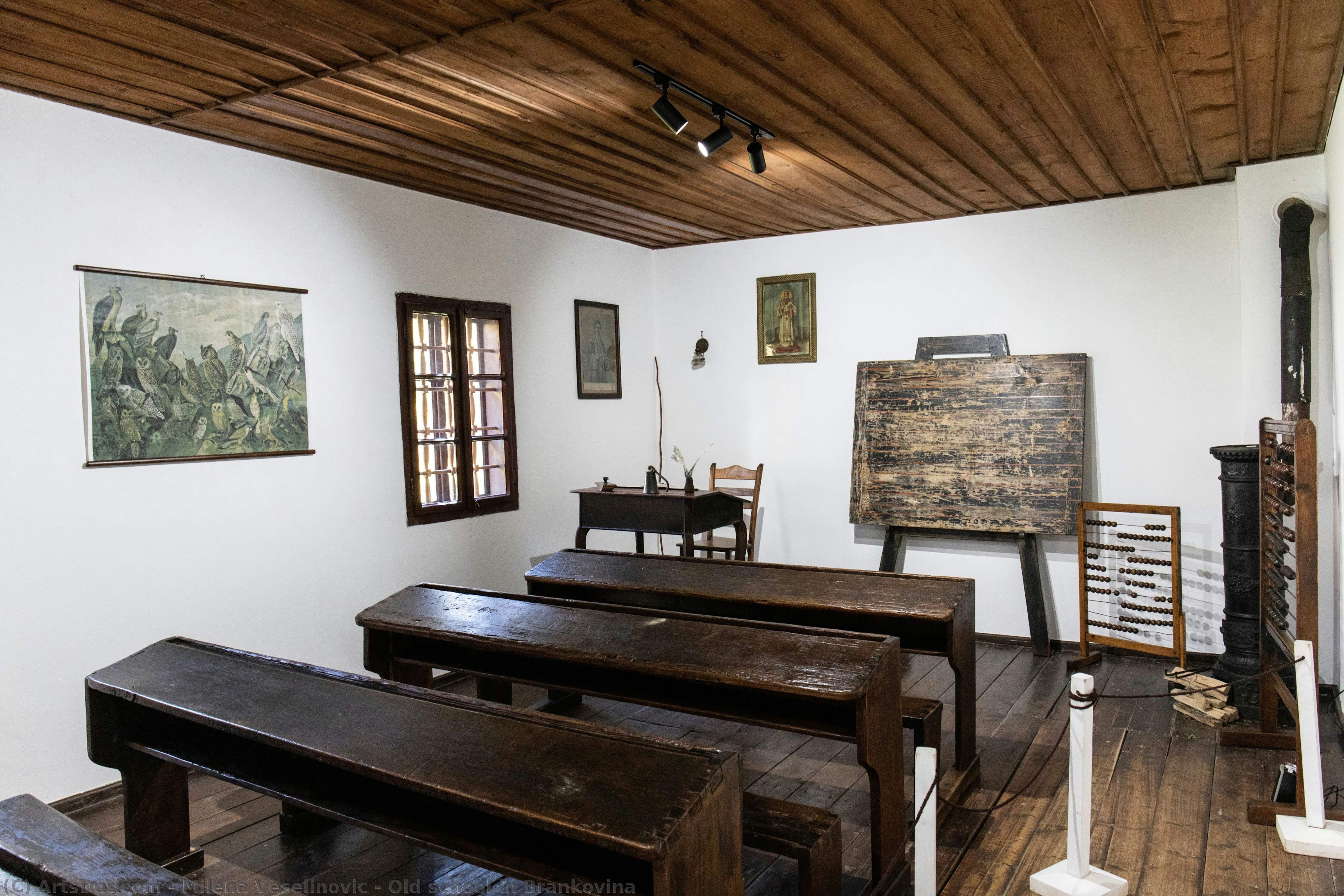 Old School In Brankovina — Milena Veselinovic