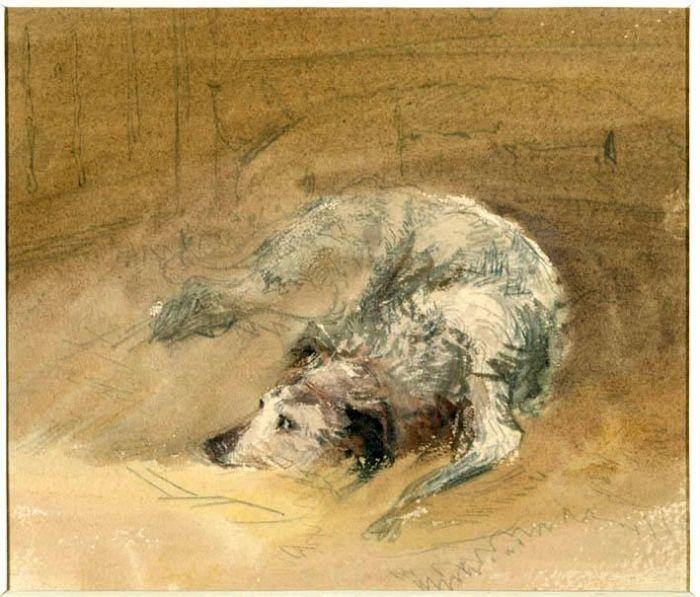 Study Of A Dog — Dejvid Koks