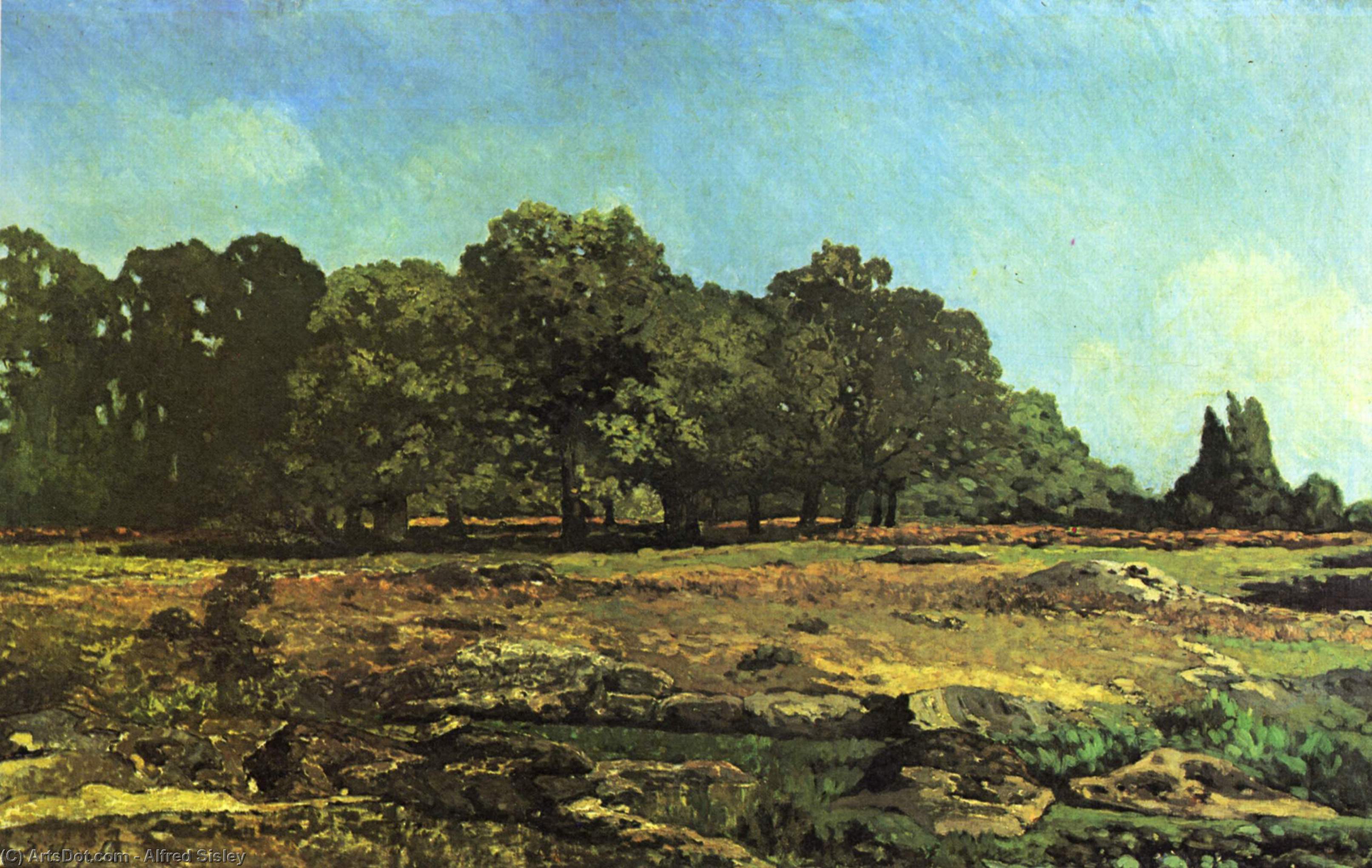 Avenue Of Chestnut Trees Near La Celle Saint Cloud — Alfred Sisley