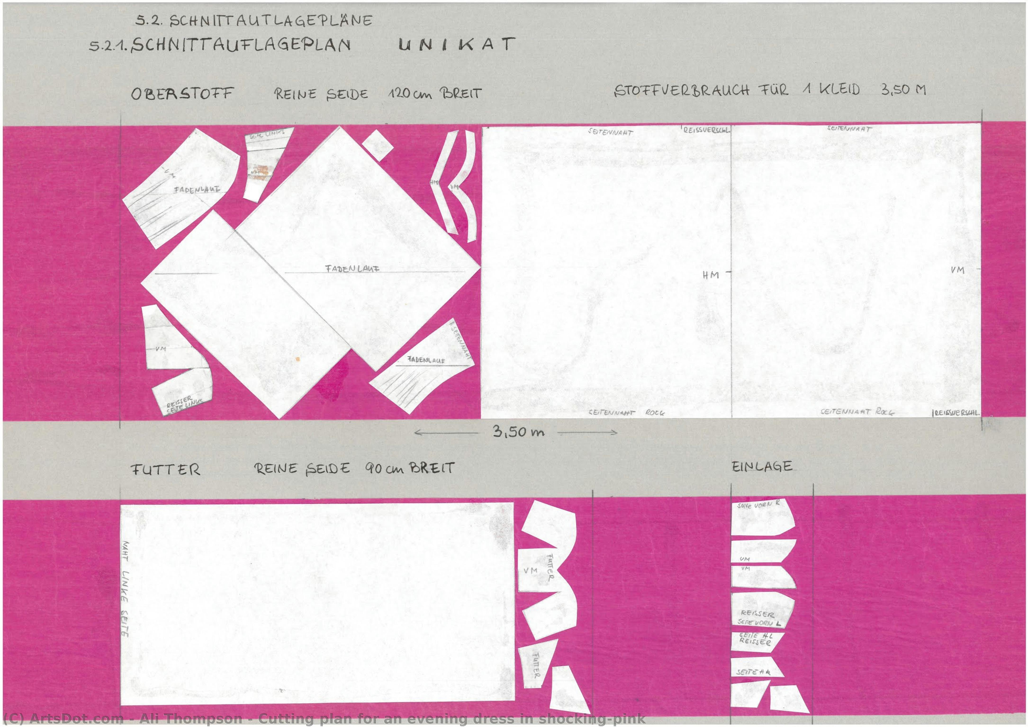 Cutting Plan For An Evening Dress In Shocking-pink — Ali Thompson
