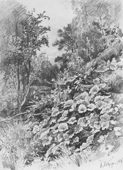 Coltsfoot — Ivan Ivanovich Shishkin