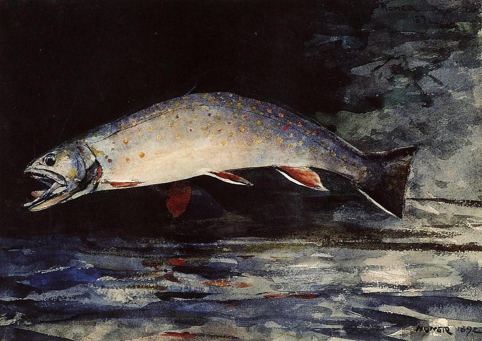 A Brook Trout — Винслоу Хомер