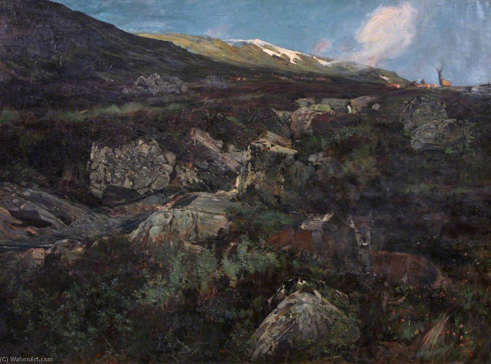 Hard Weather — John Sydney Steel