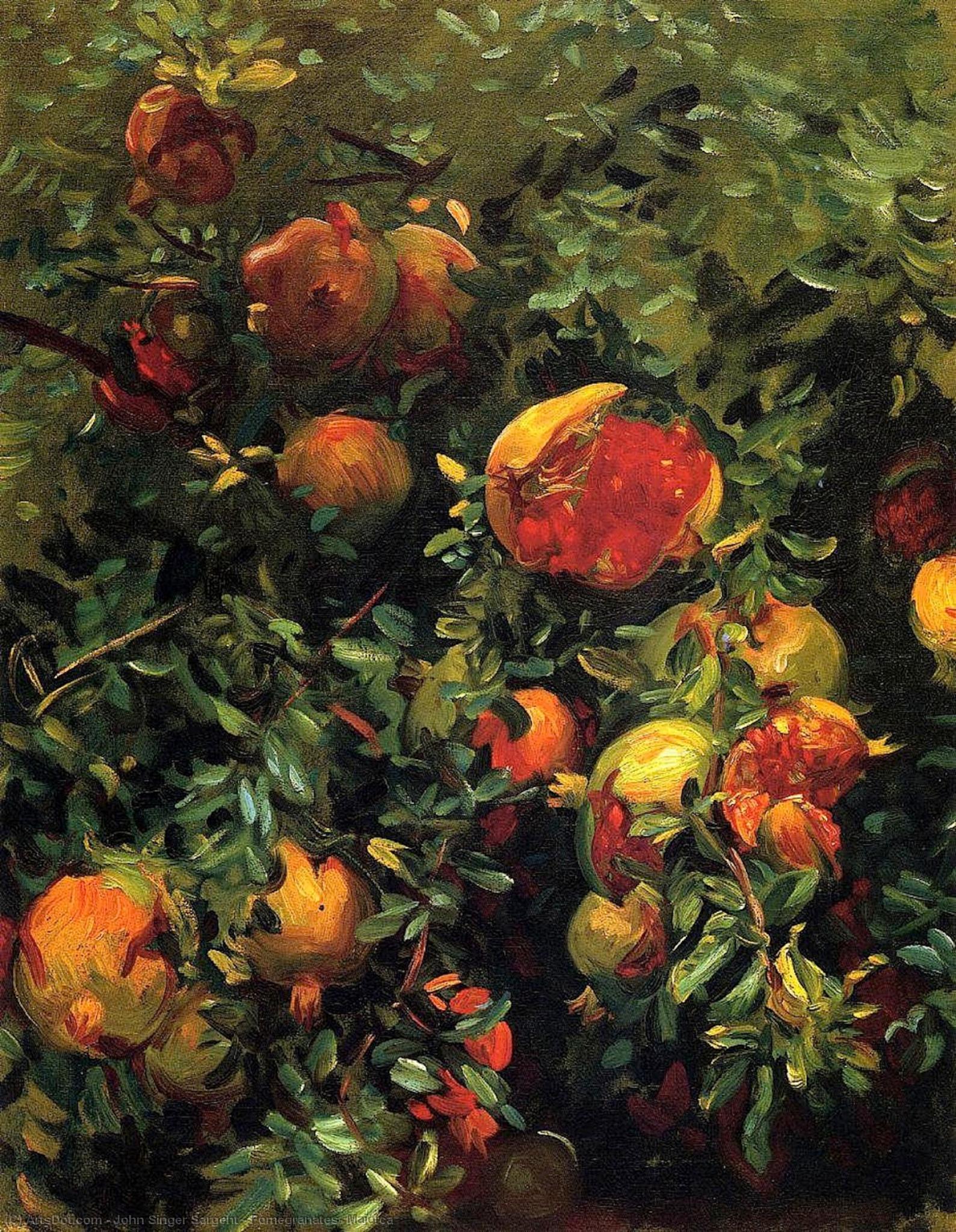 Pomegranates, Majorca — Сарджент