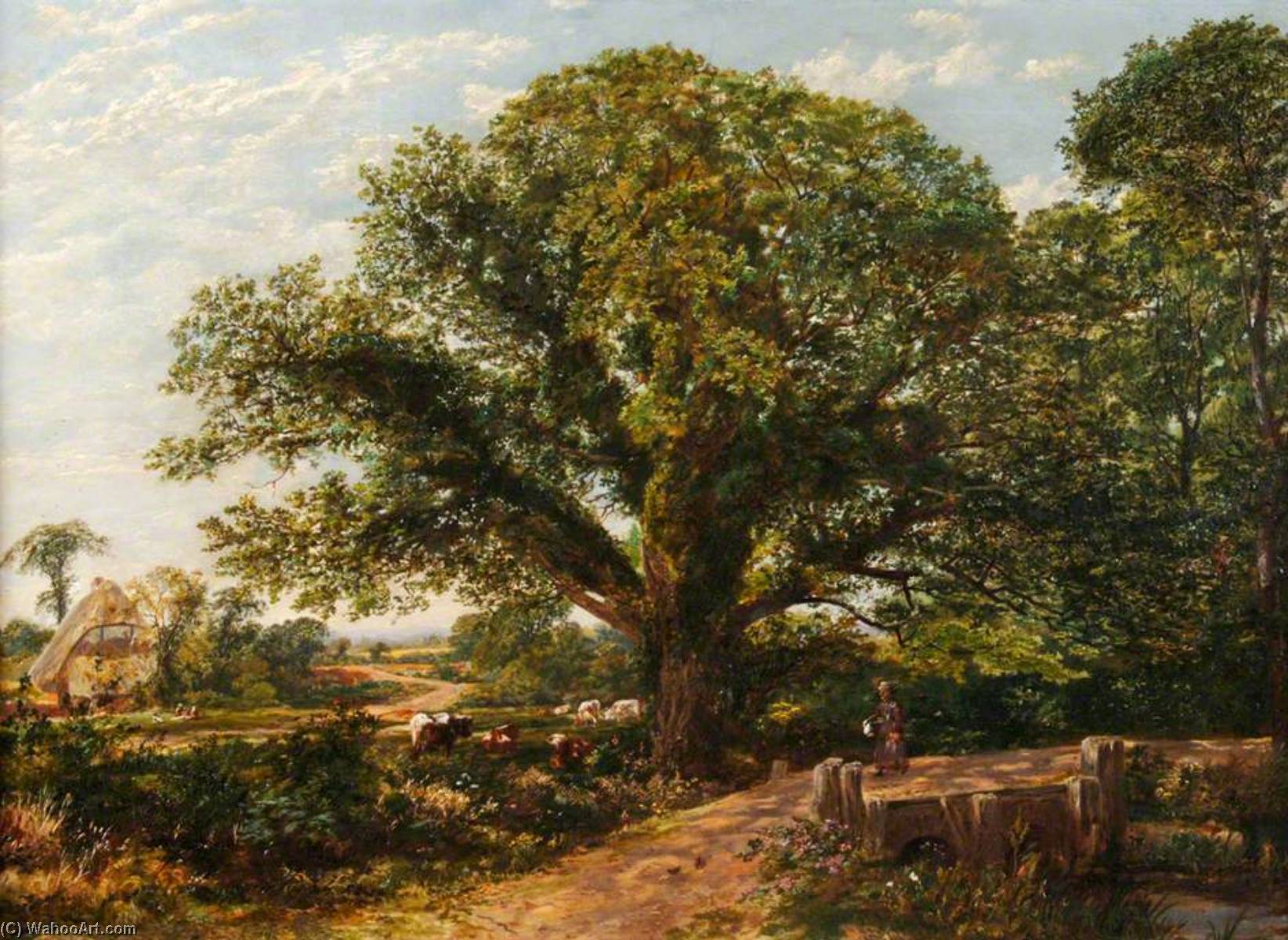 Rural Landscape — Martin Snape
